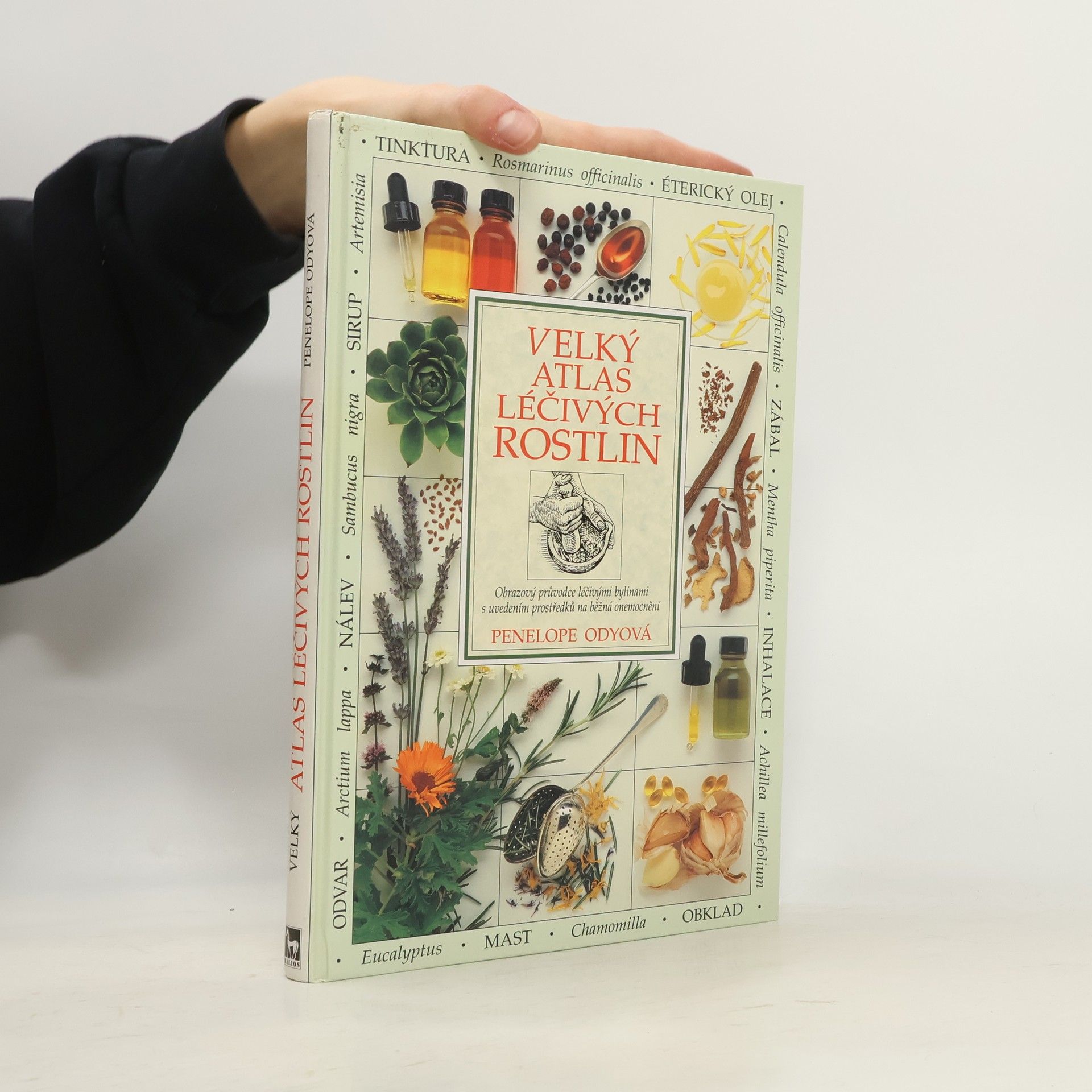 Pénélope Ody Velký atlas léčivých rostlin