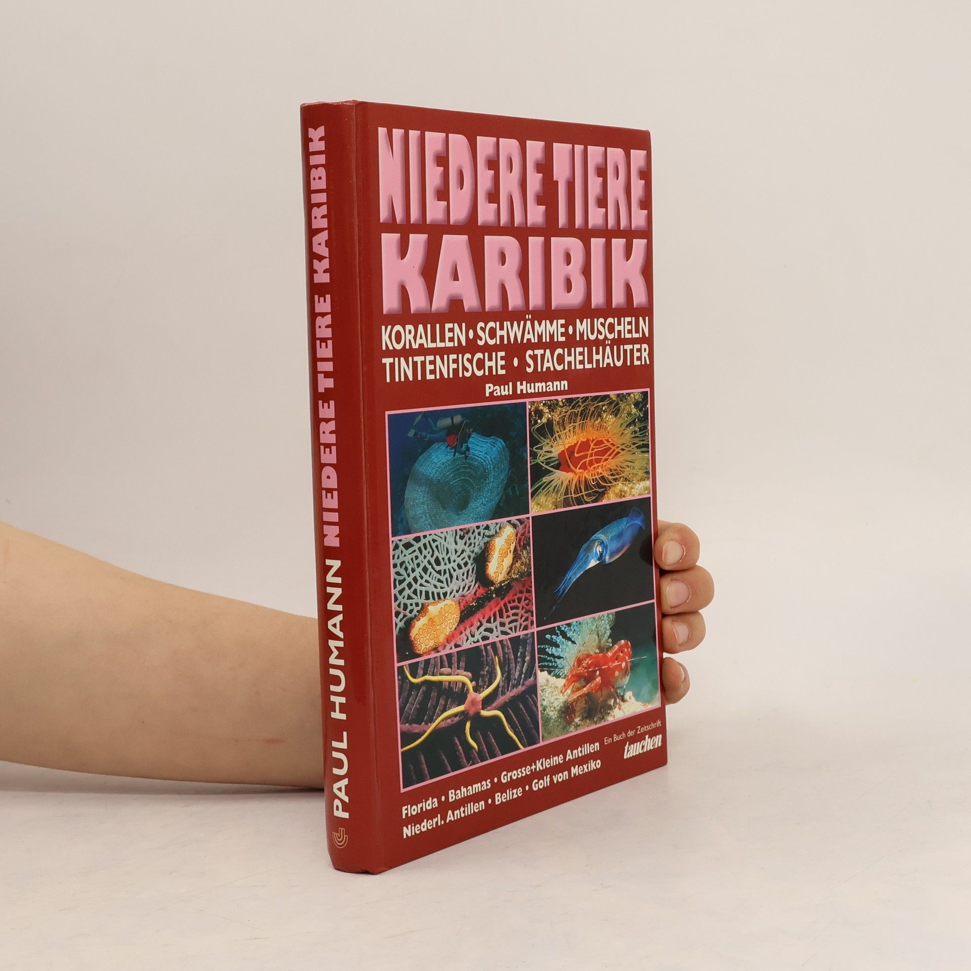 Paul Humann Niedere Tiere Karibik