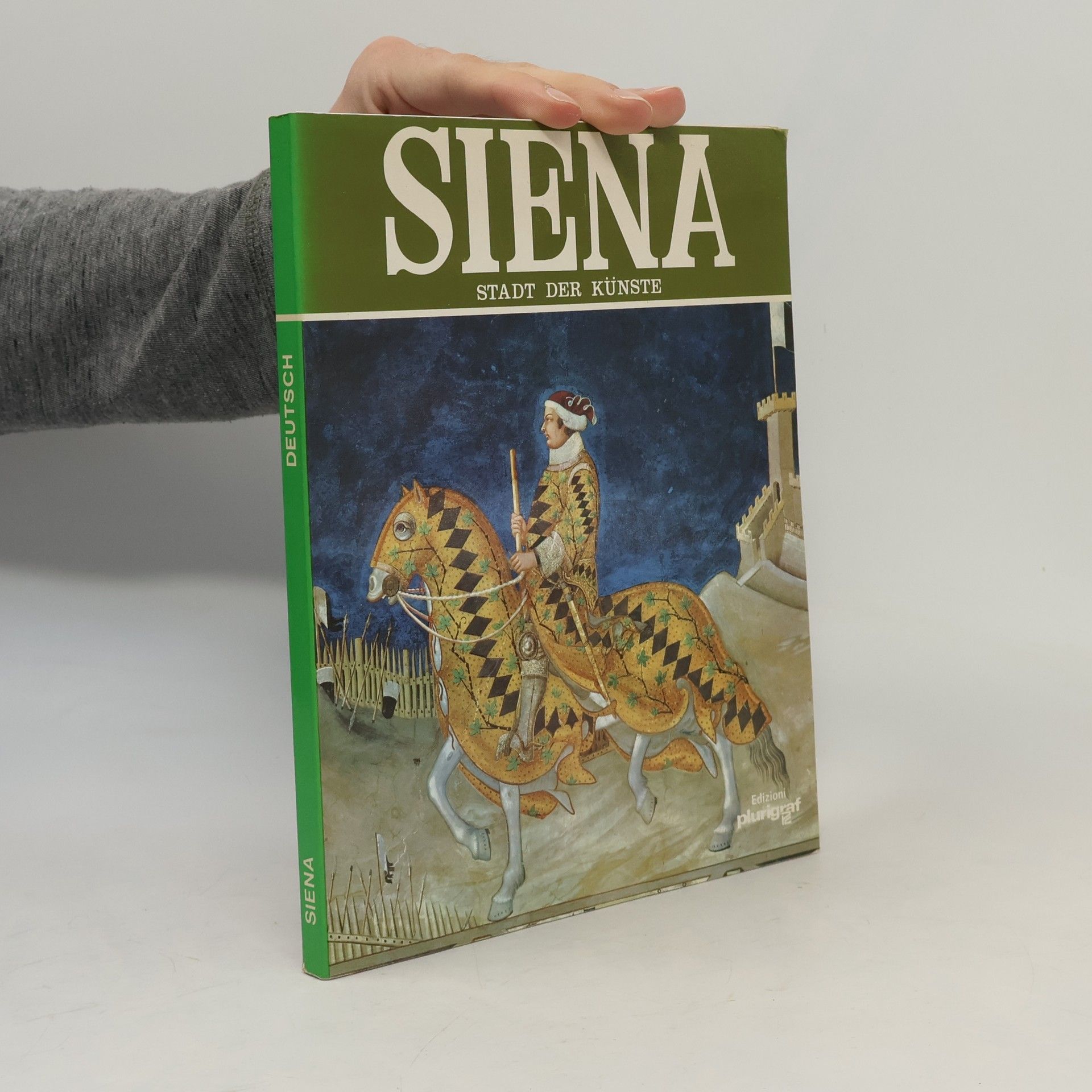 Autorenkollektiv Siena. Stadt der Künste