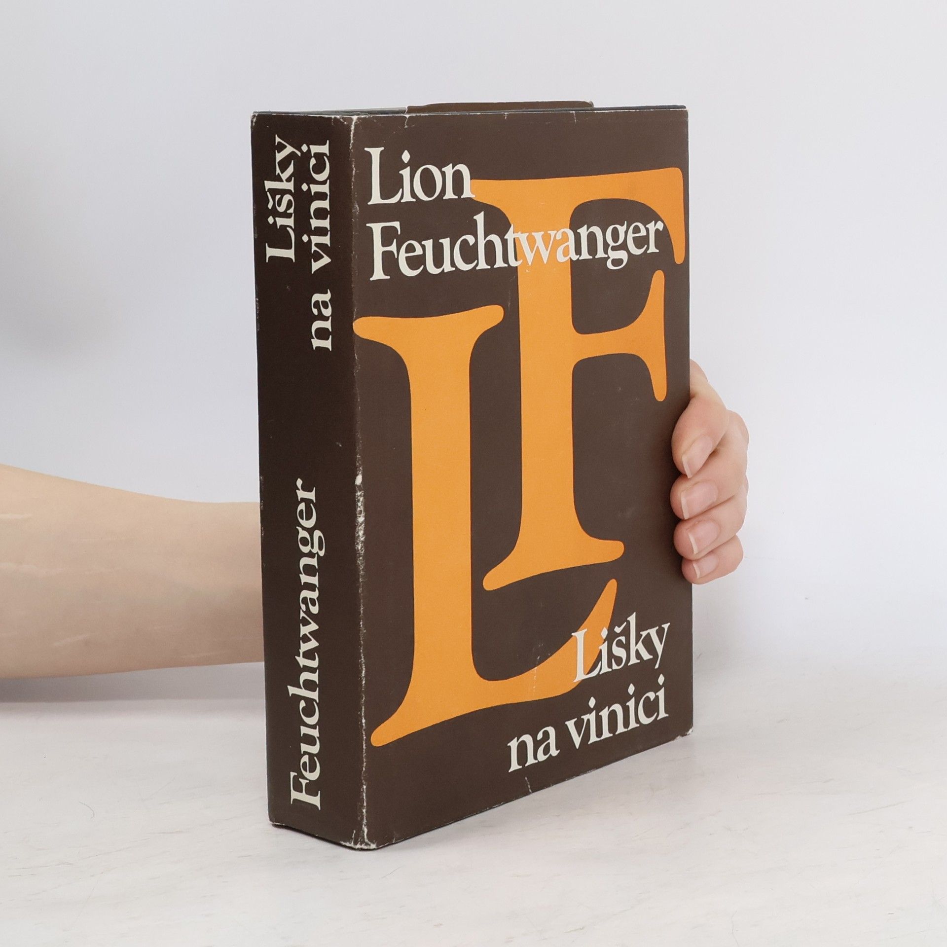 Lion Feuchtwanger Lišky na vinici