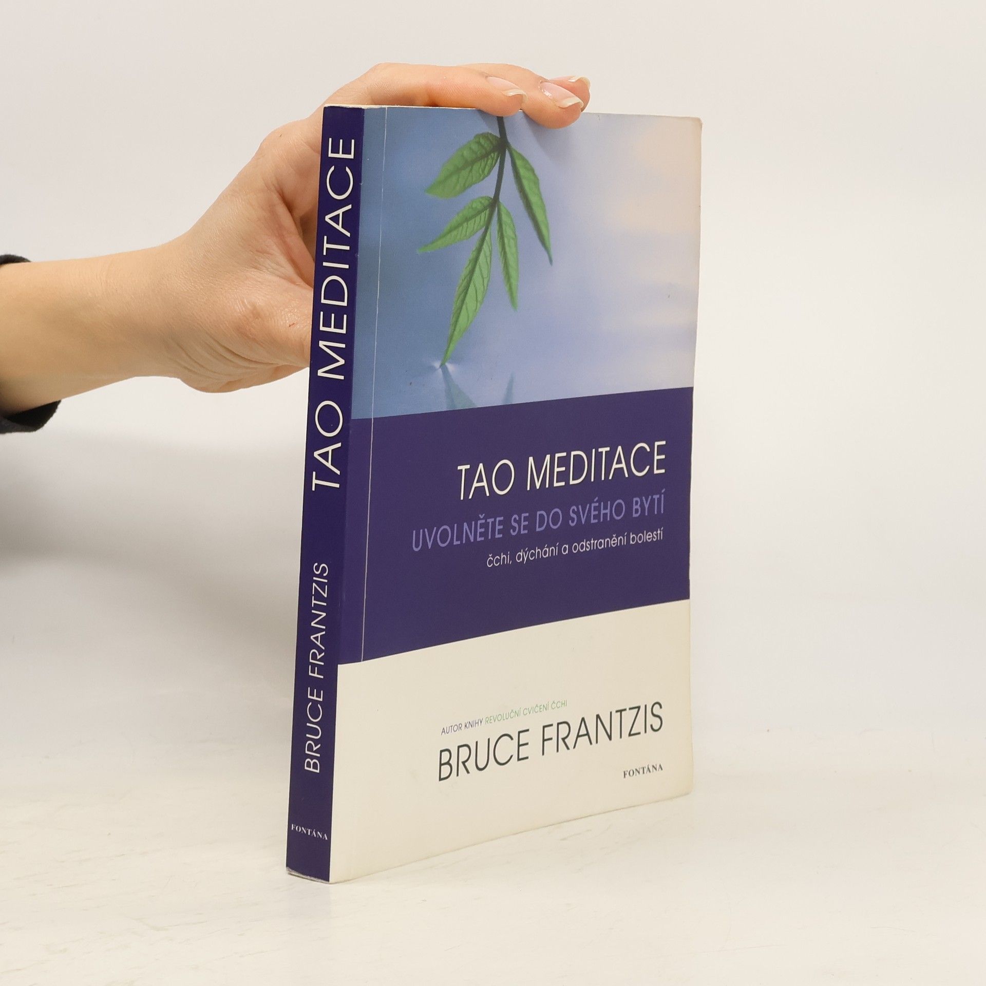 Bruce Kumar Frantzis Tao meditace. Uvolněte se do svého bytí: čchi, dýchání a odstranění bolesti