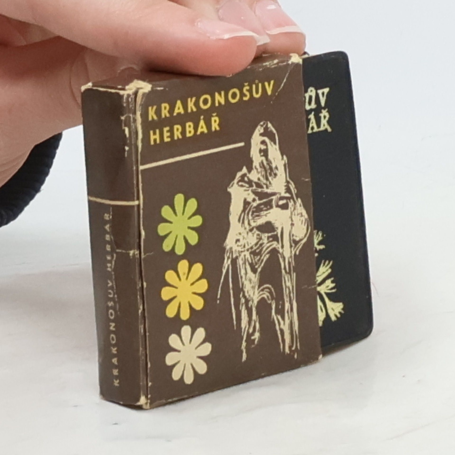 Autores varios Krakonošův herbář