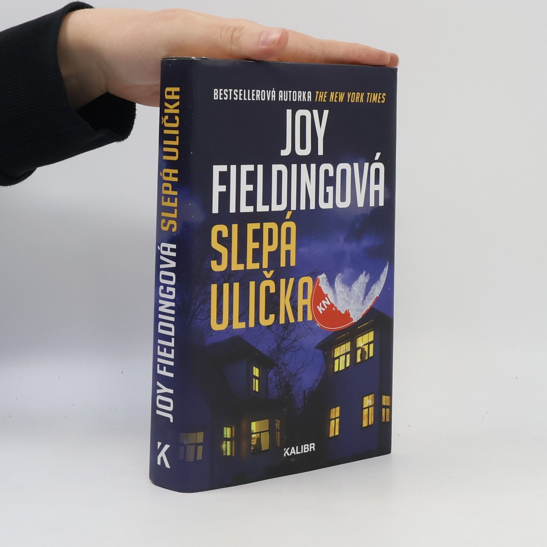 Joy Fielding Slepá ulička