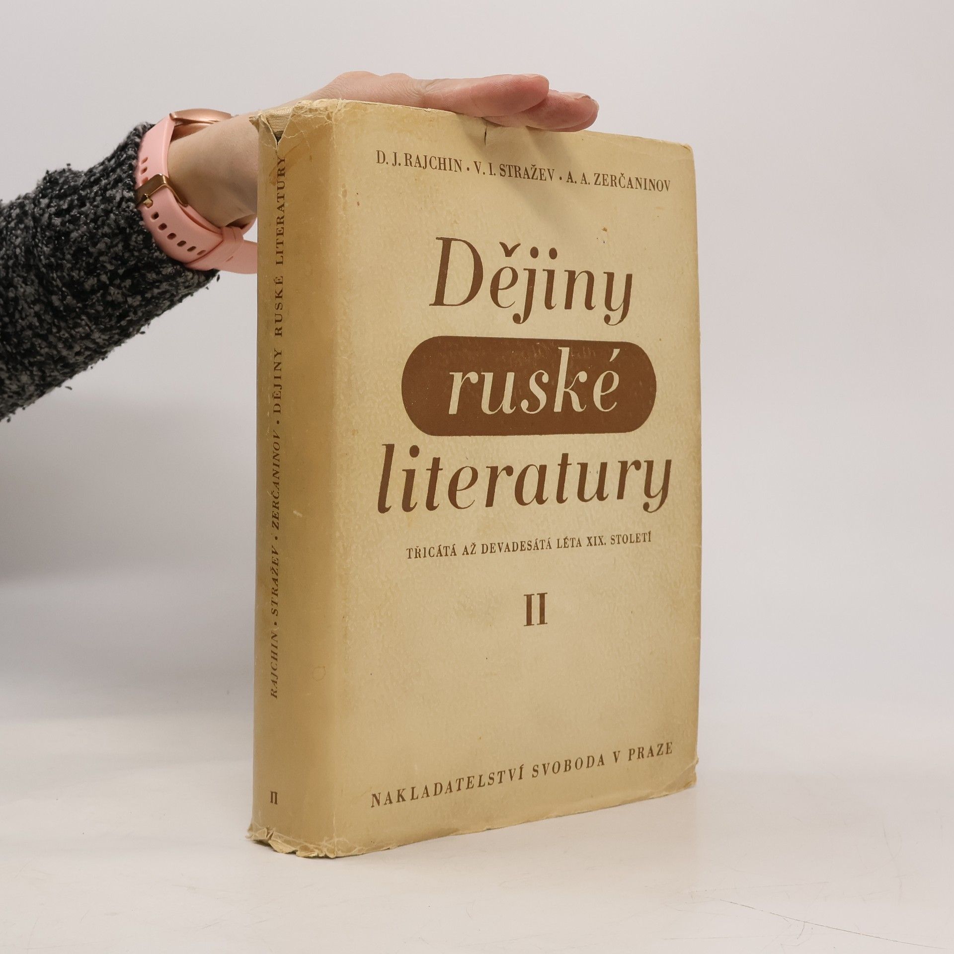 D.J. Rajchin Dějiny ruské literatury II.díl