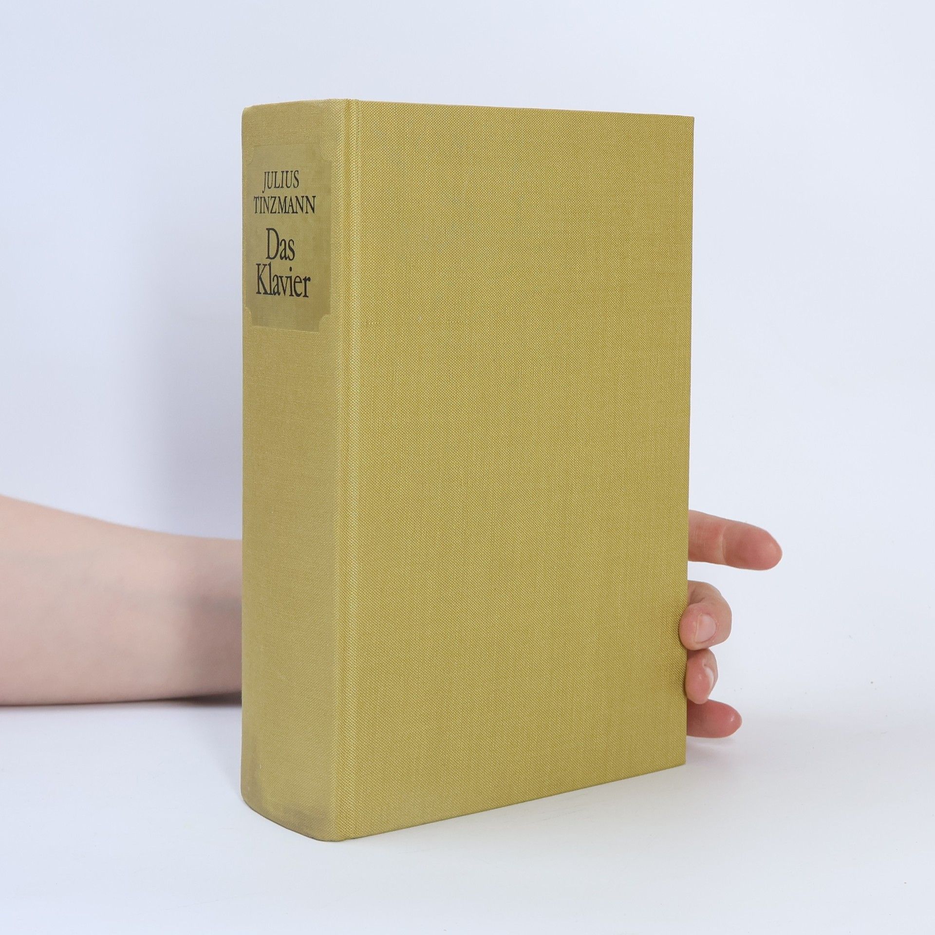 Julius Tinzmann Das Klavier
