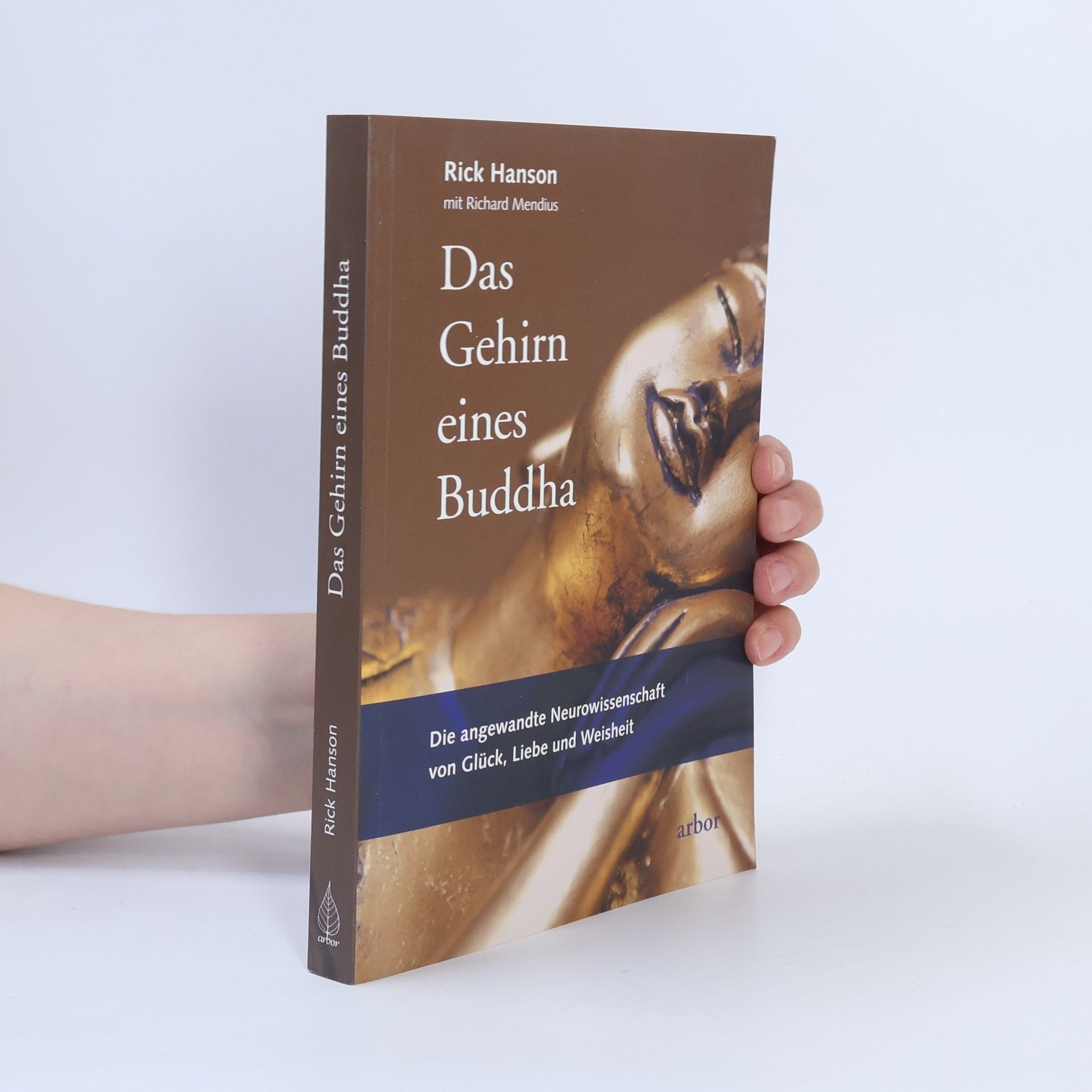 Rick Hanson Das Gehirn eines Buddha