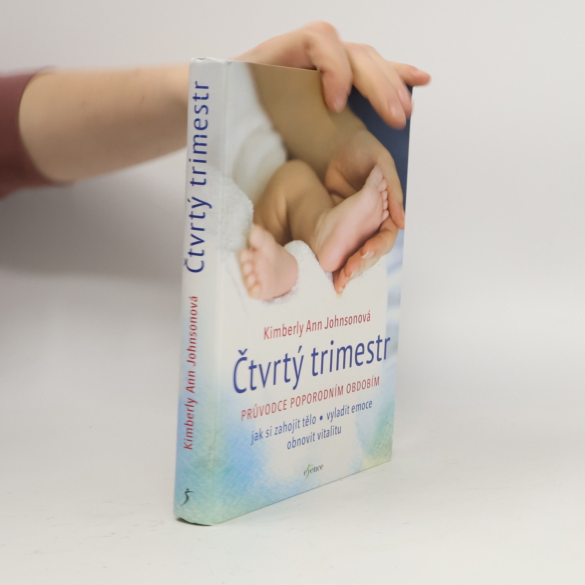 Kimberly Ann Johnson Čtvrtý trimestr: Průvodce poporodním obdobím