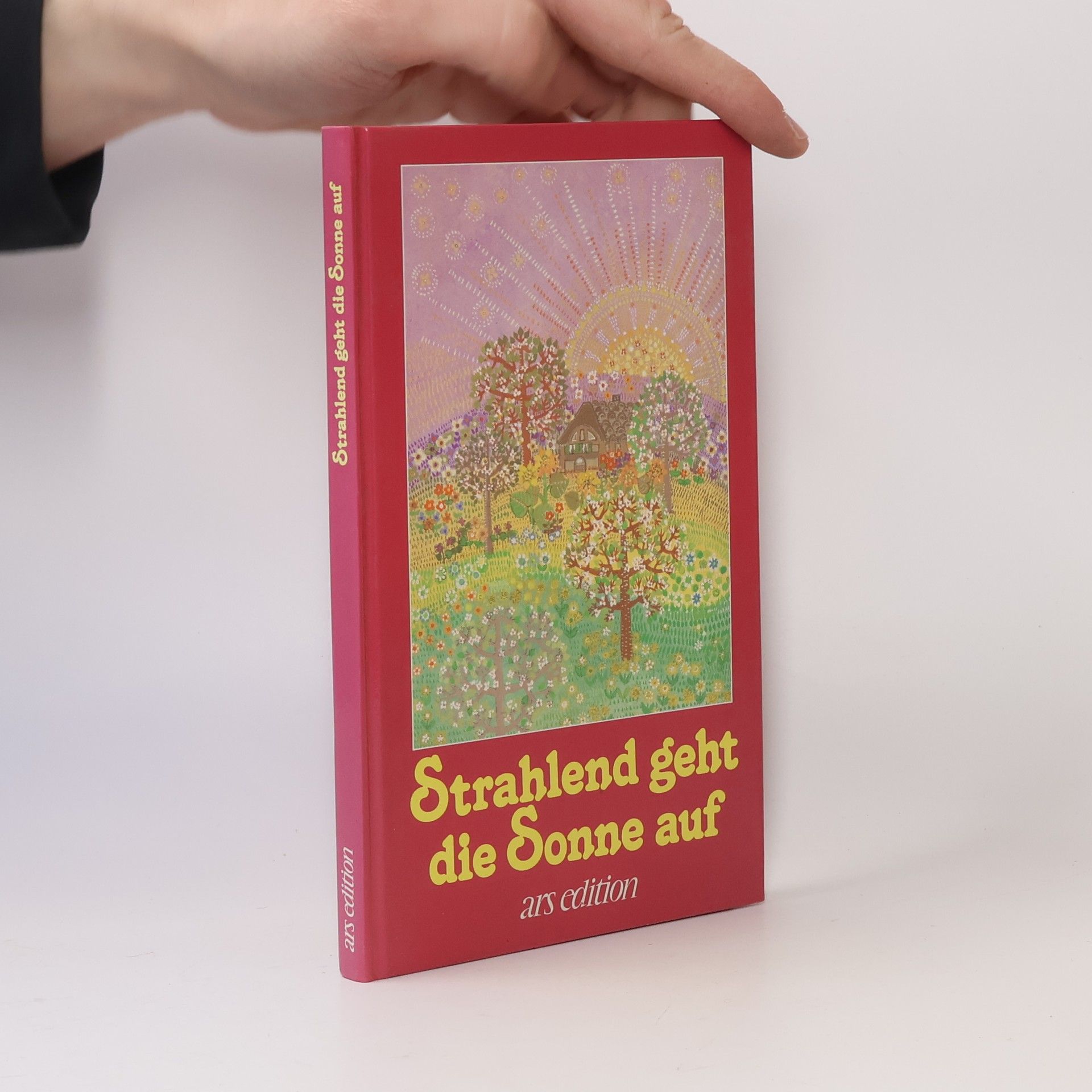 Strahlend geht die Sonne auf