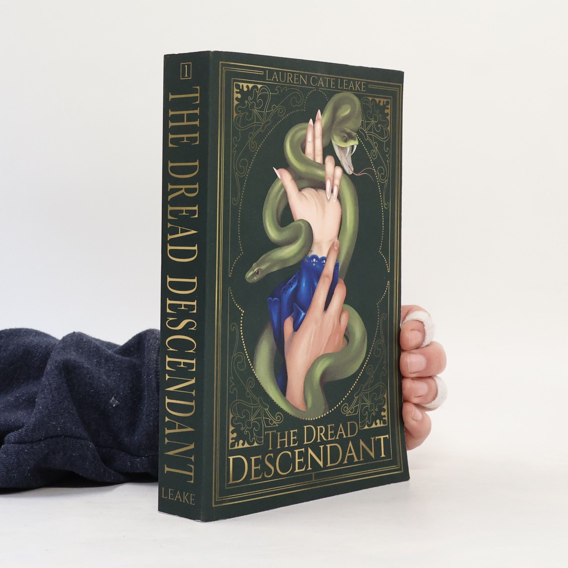 Lauren Cate Leake The Dread Descendant