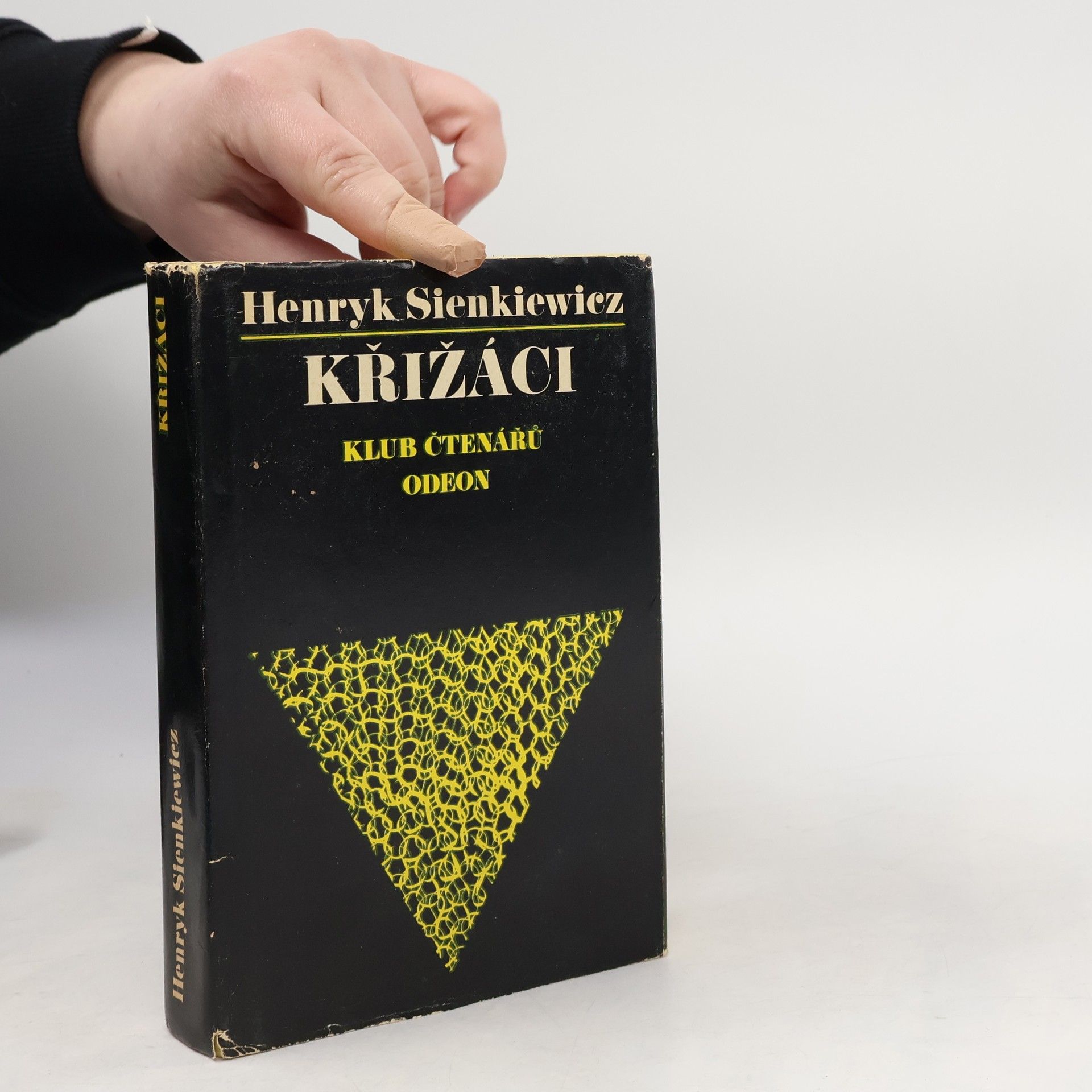 Henryk Sienkiewicz Křižáci