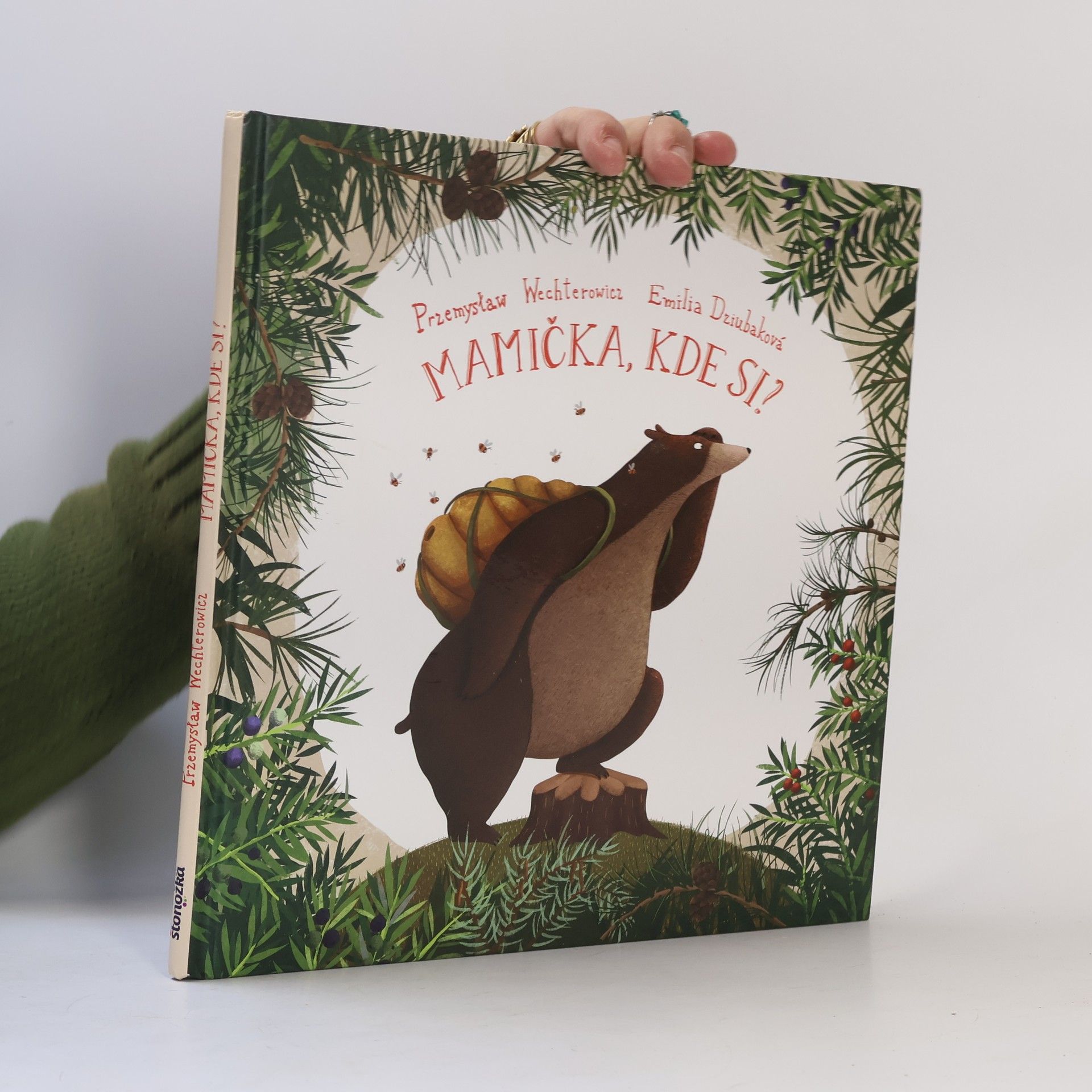 Przemyslaw Wechterowicz Mamička, kde si?