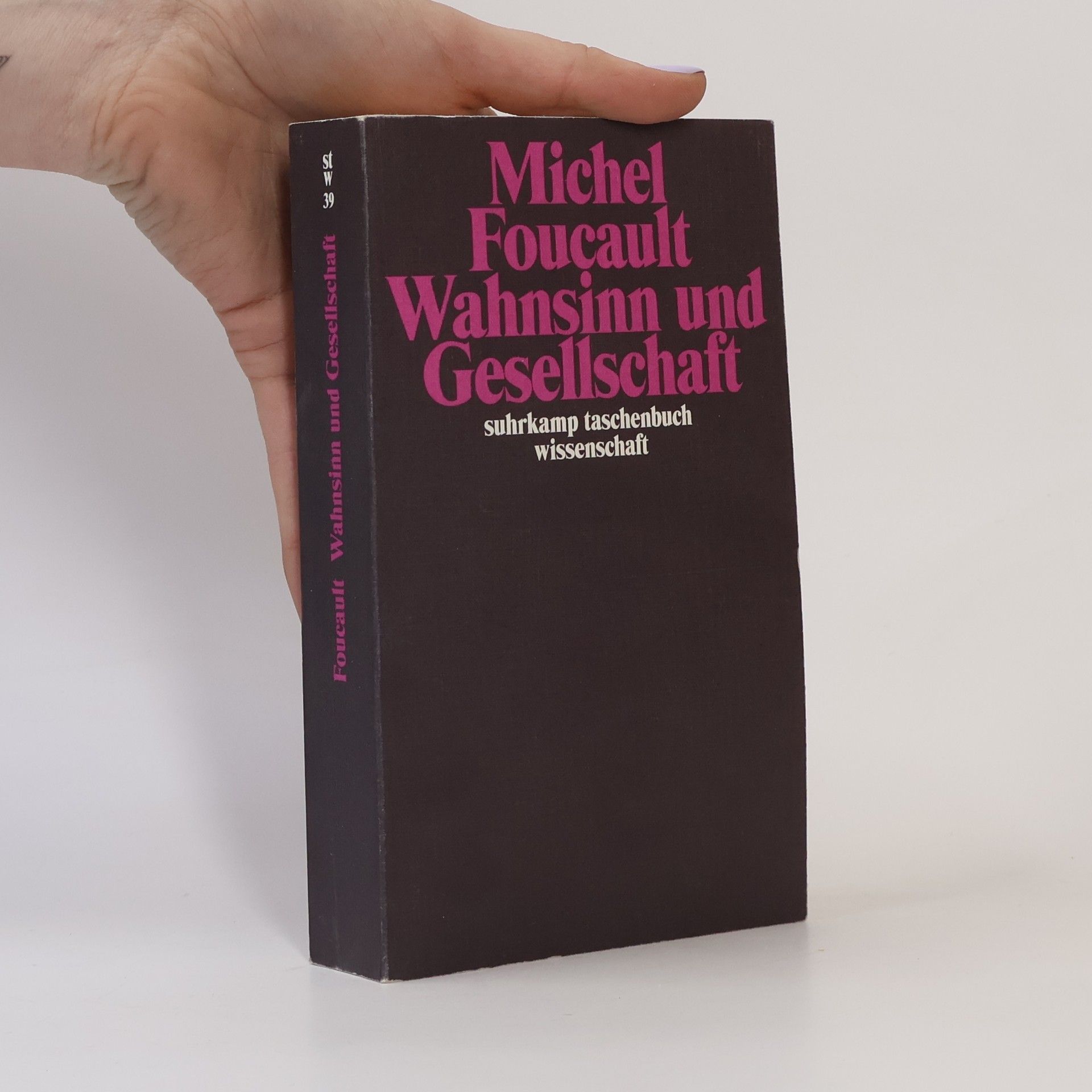 Michel Foucault Wahnsinn und Gesellschaft