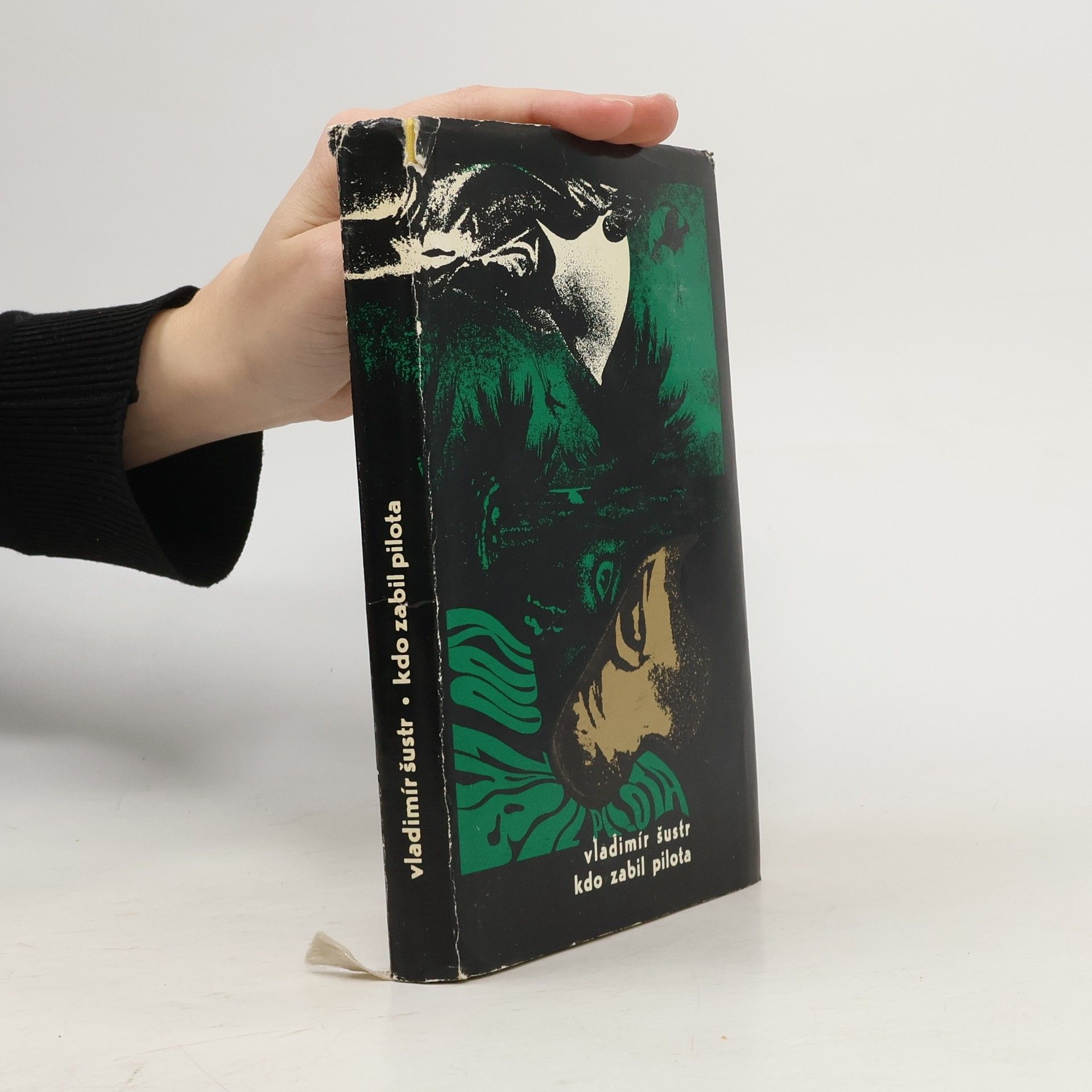 Vladimír Šustr Kdo zabil pilota