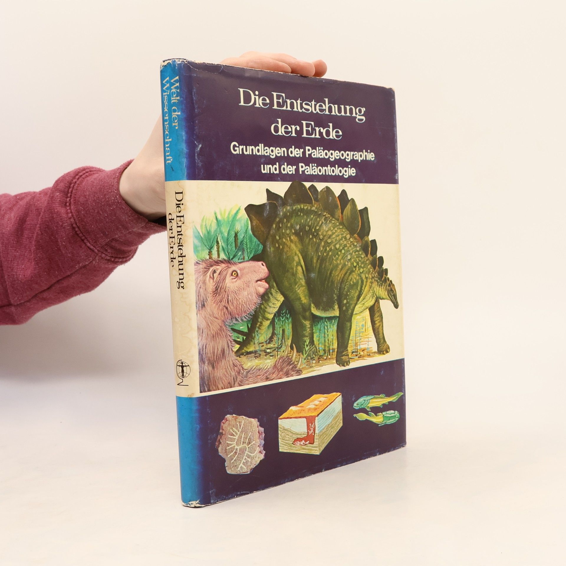 Michael Dempsey Die Entstehung der Erde