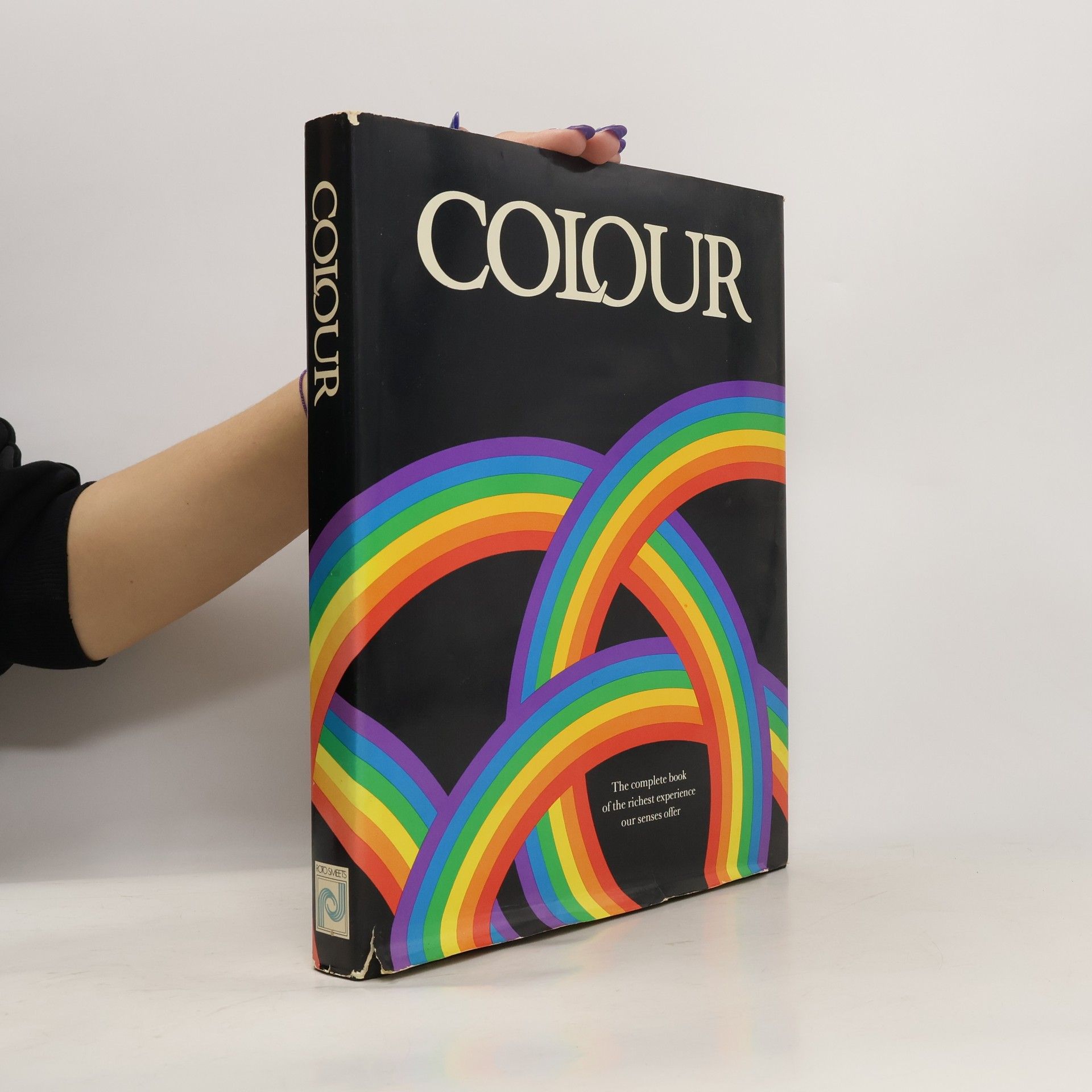 Jan van Lieshout The Dutch and Colour