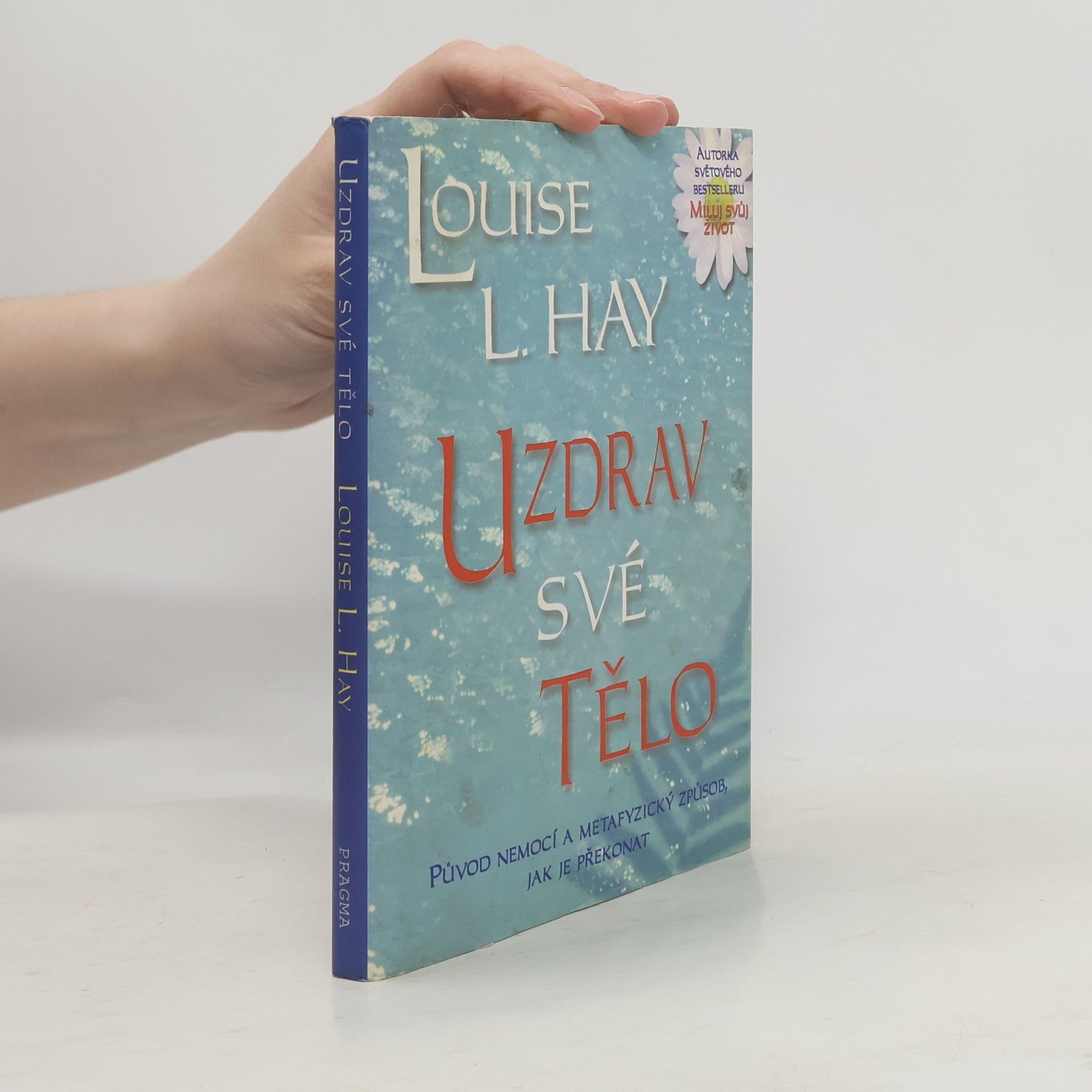 Louise Lynn Hay Uzdrav své tělo: Původ nemocí a metafyzický způsob, jak je překonat