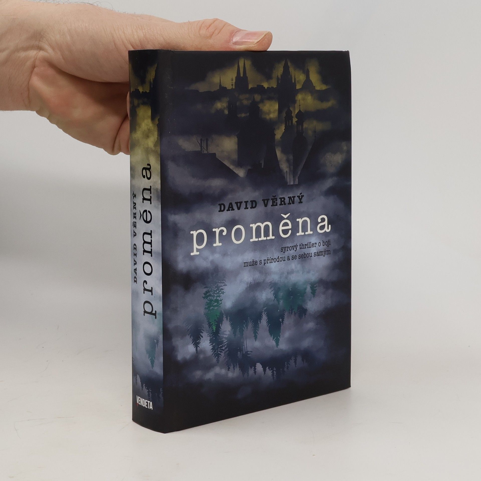 David Věrný Proměna