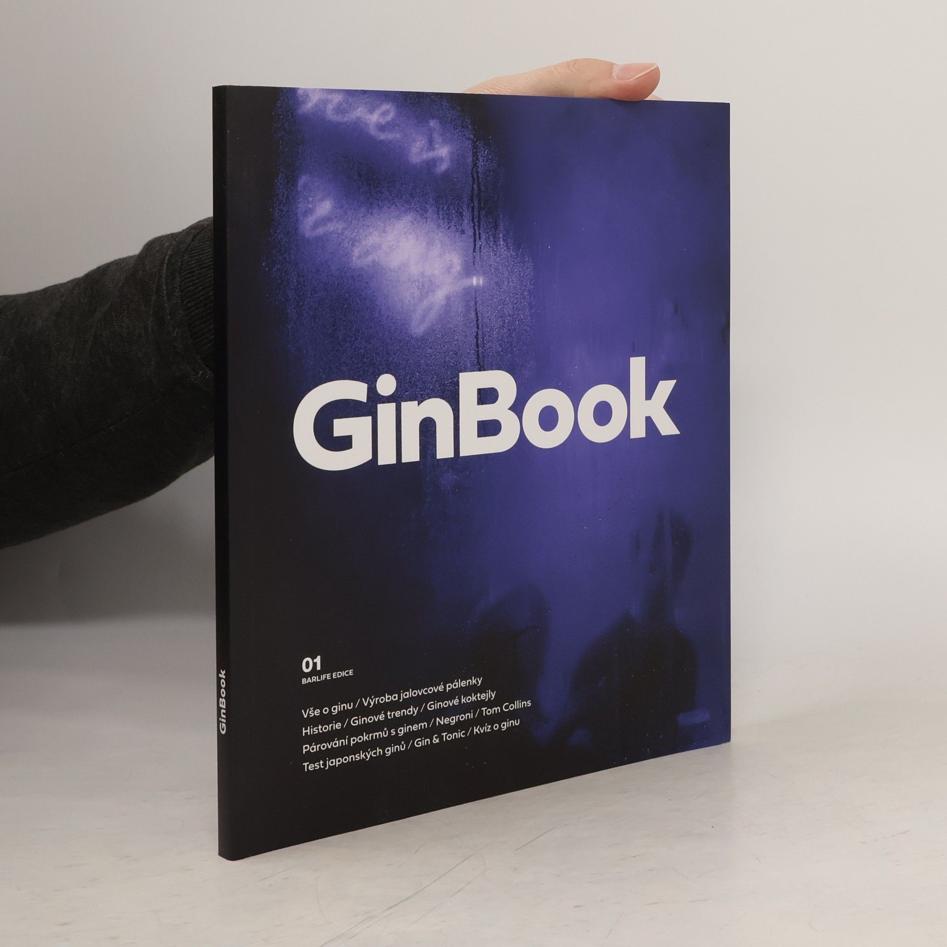 Kolektiv autorů GinBook