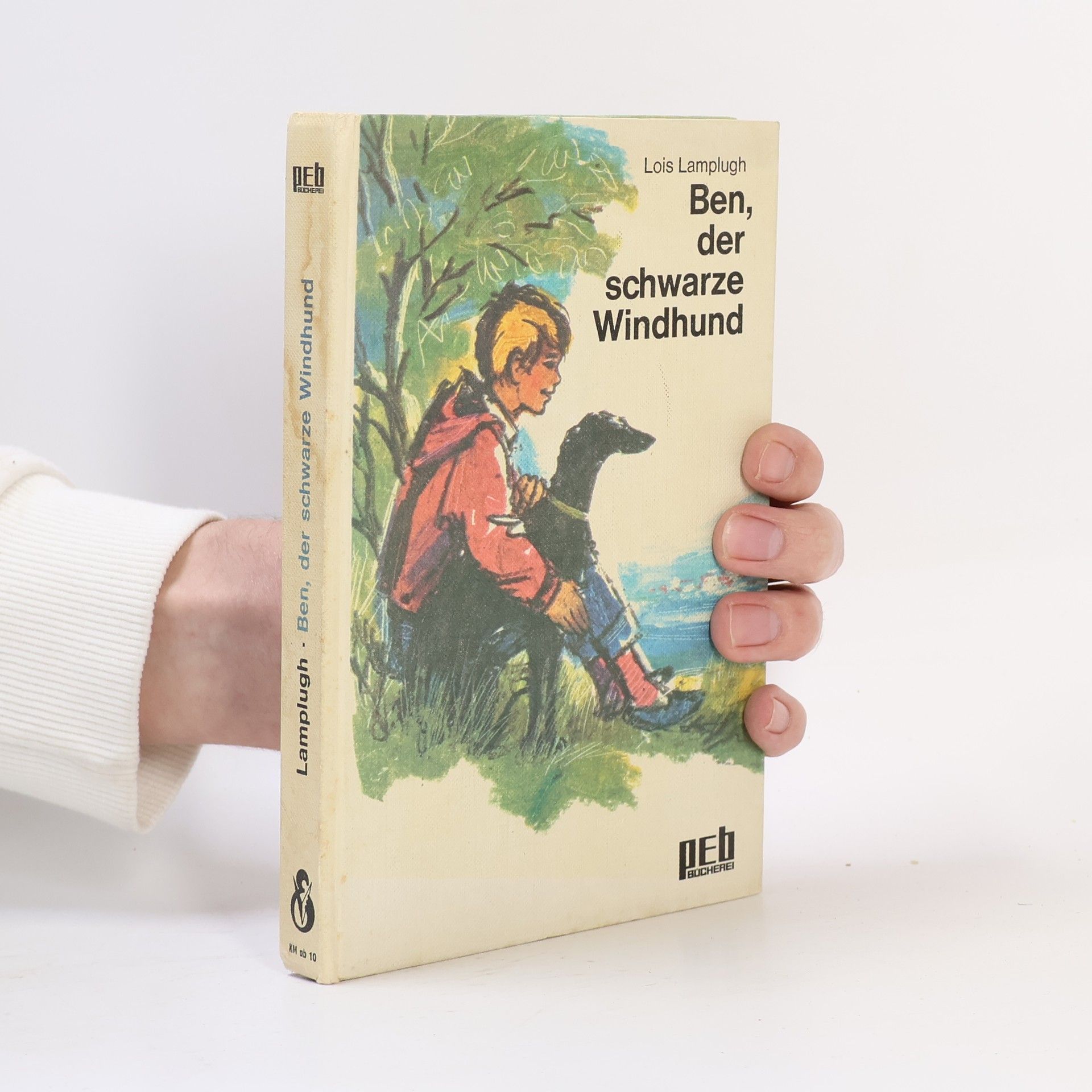 Lois Lamplugh Ben, der schwarze Windhund