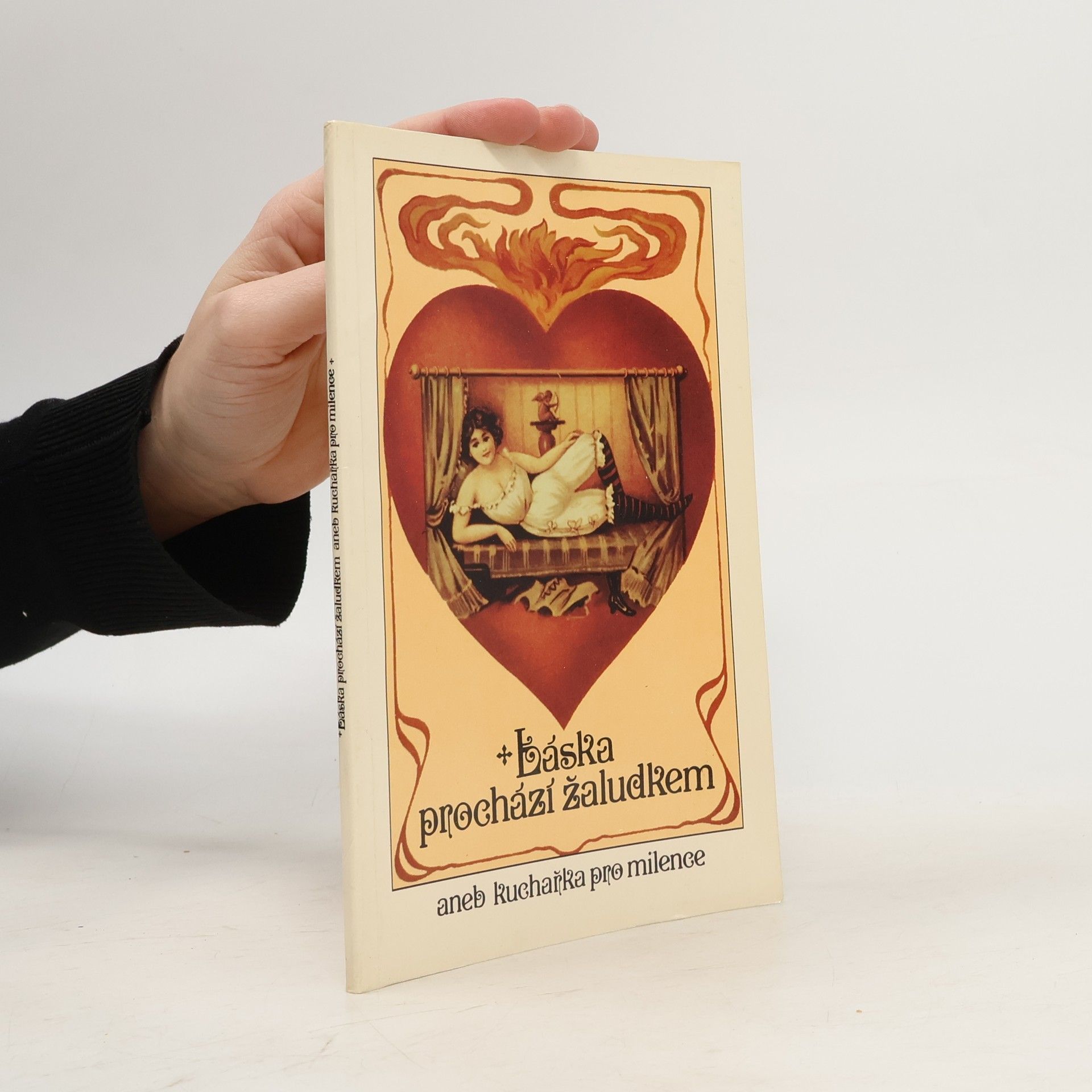 Michal Houba Láska prochází žaludkem aneb kuchařka pro milence