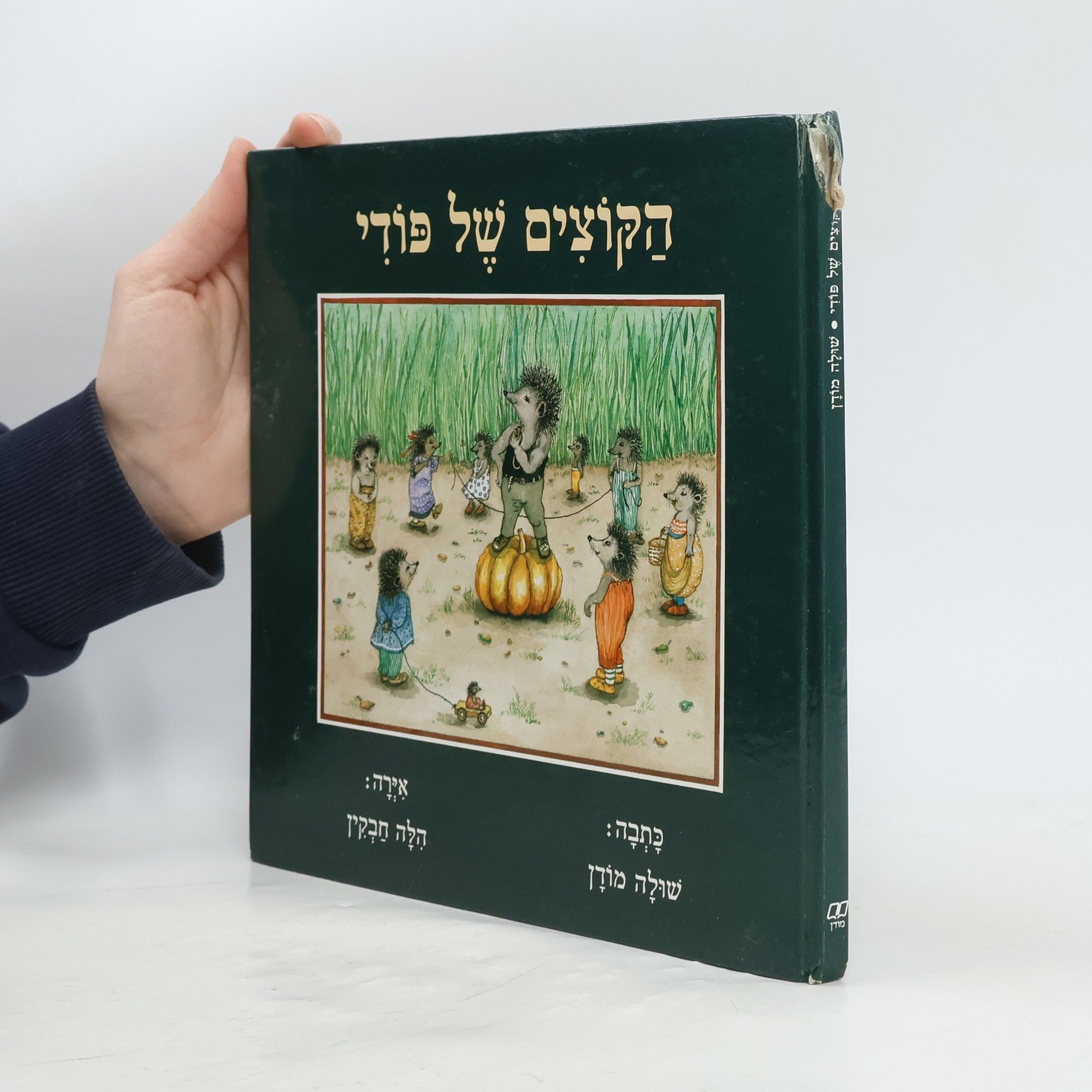 הִלָּה חַבְקִין הַקּוֹצִים שֶׁל פּוֹדִי