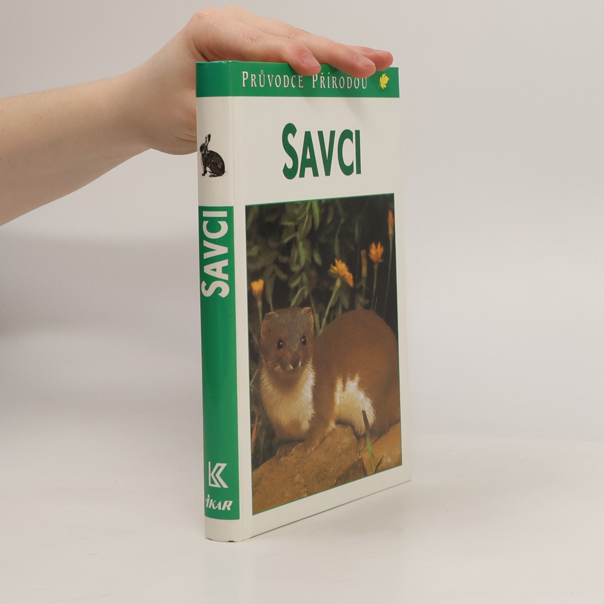 Gunter Steinbach Savci