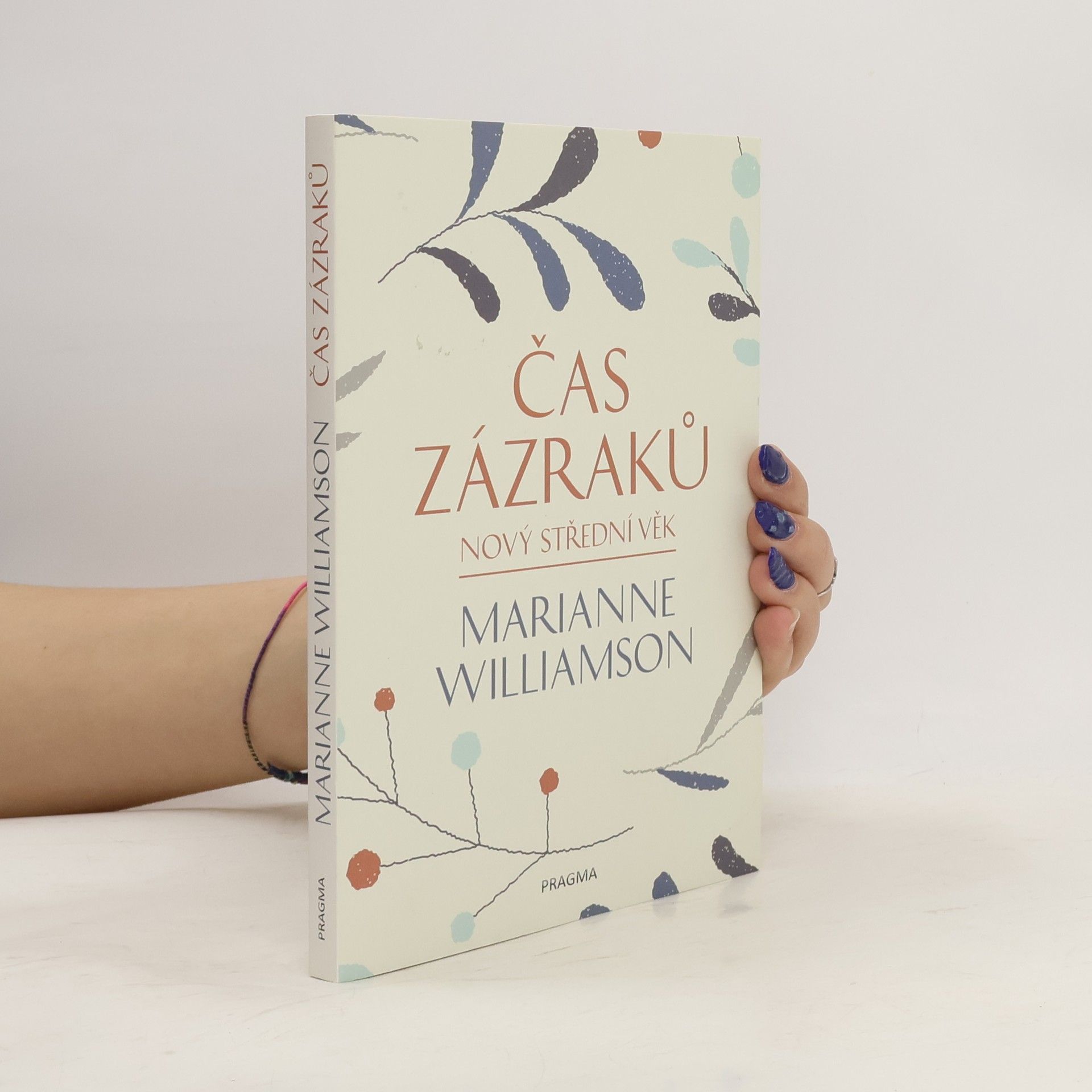 Čas zázraků : nový střední věk