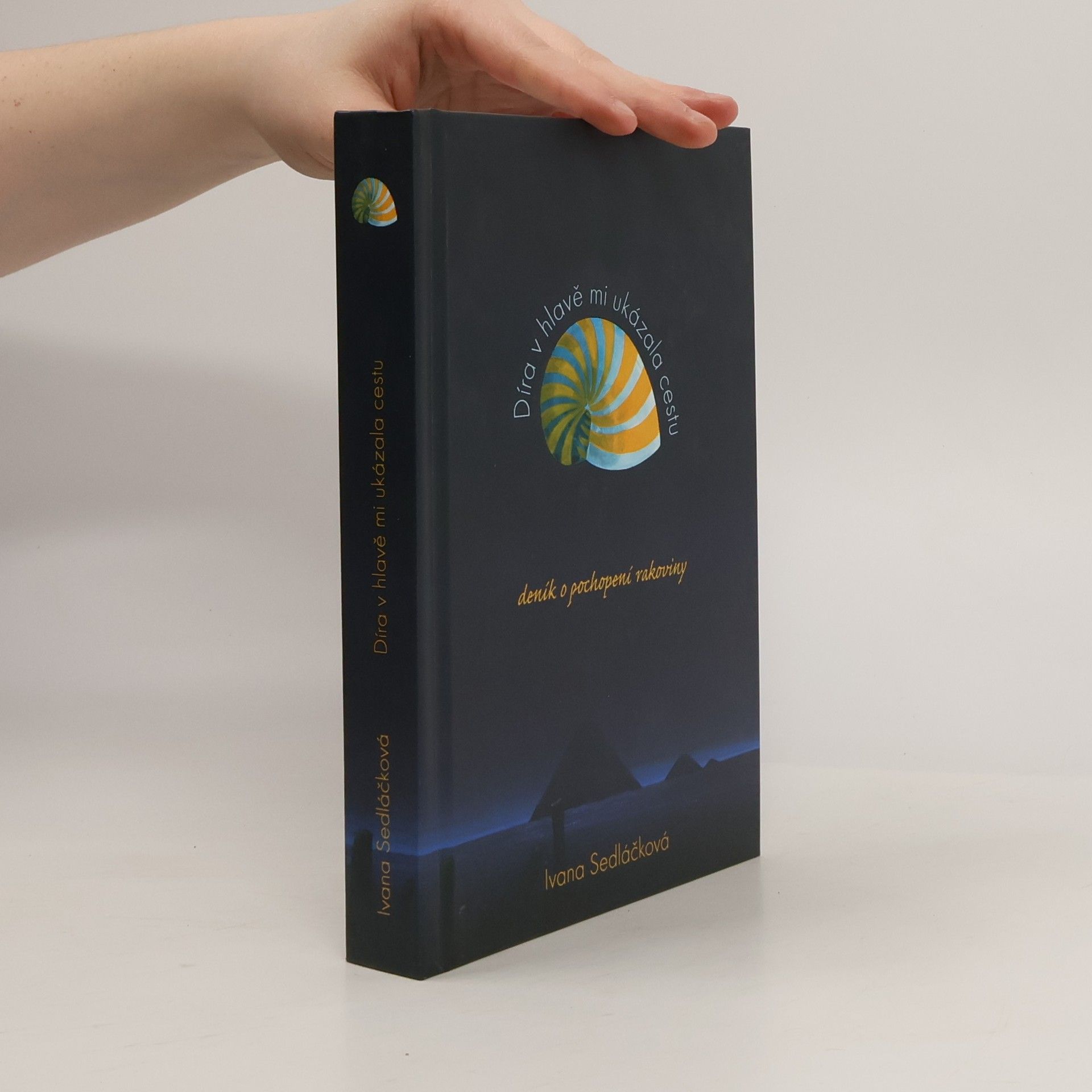 Ivana Sedláčková Díra v hlavě mi ukázala cestu