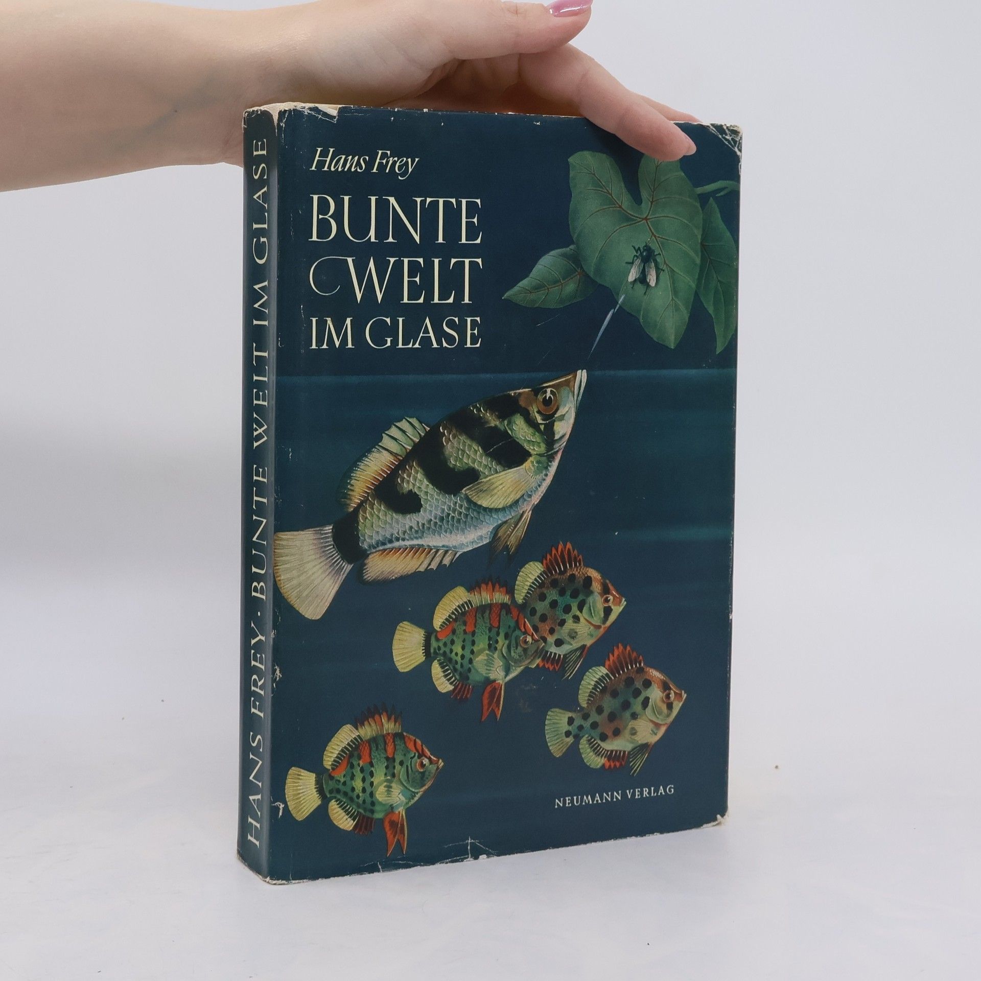 Hans-Jost Frey Bunte Welt im Glase