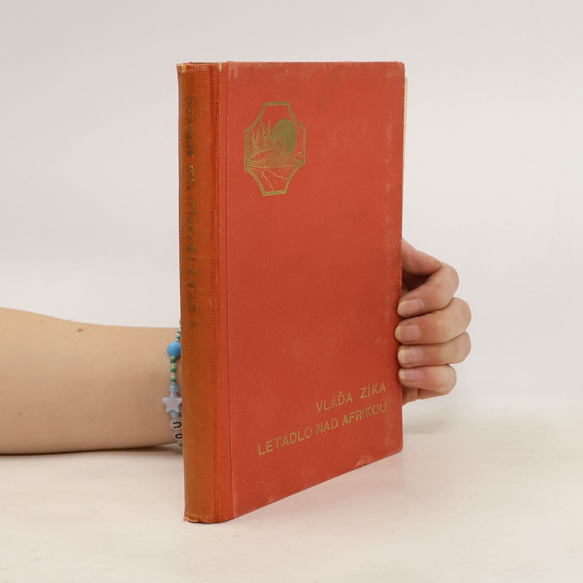 Vladimír Zíka Letadlo nad Afrikou