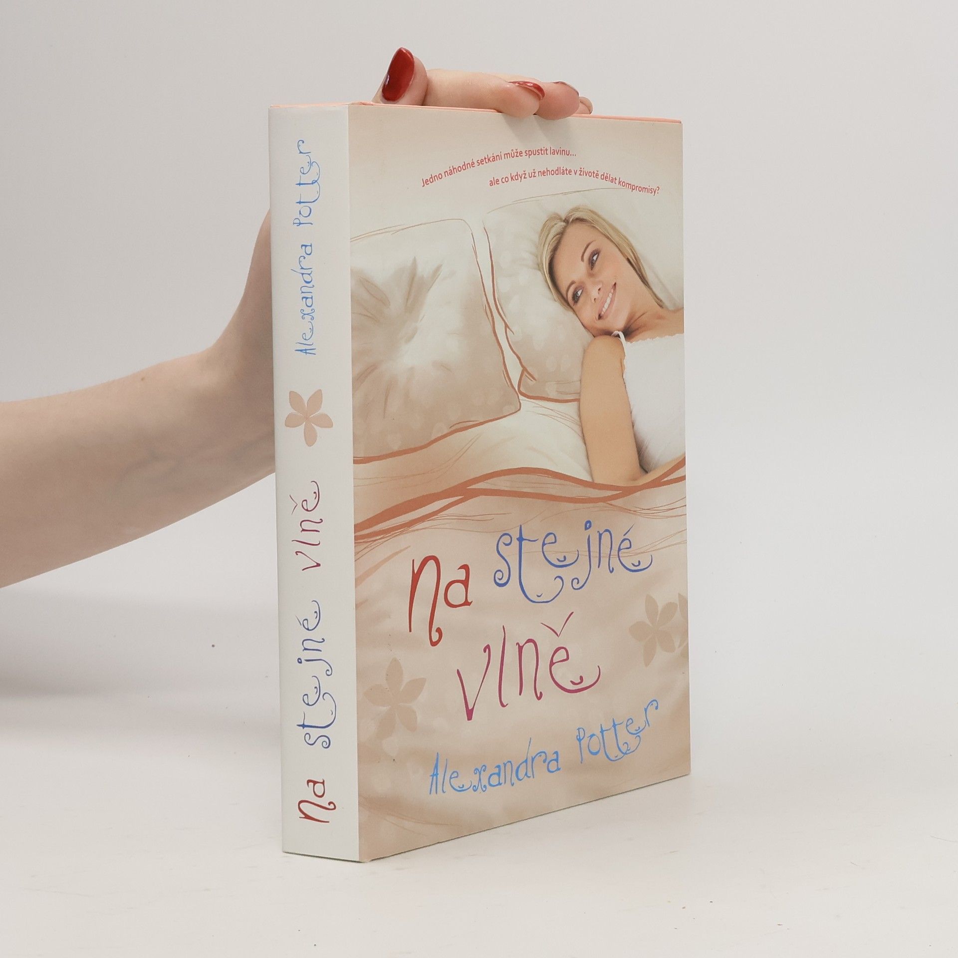 Alexandra Potter Na stejné vlně