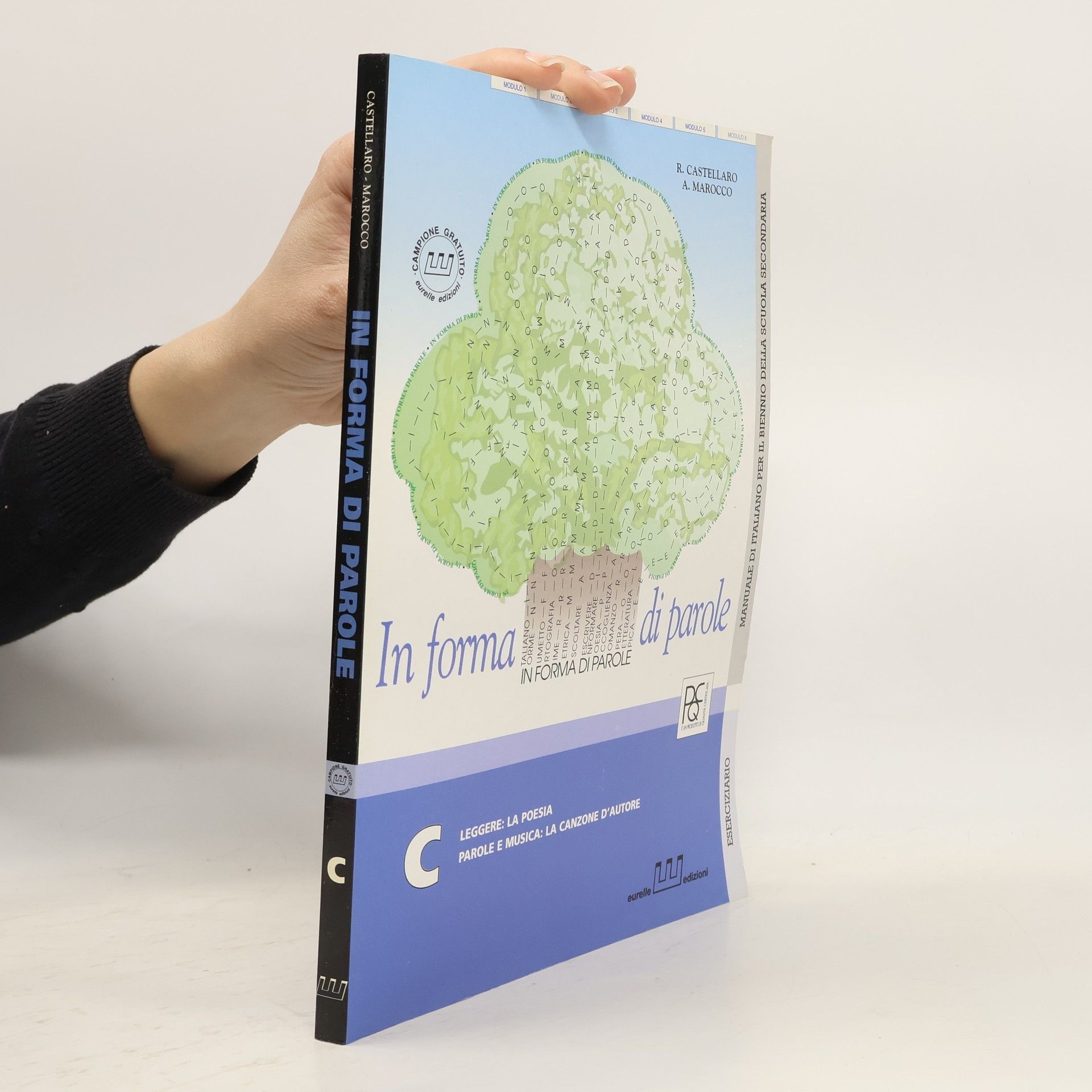 R. Castellaro In forma di parole