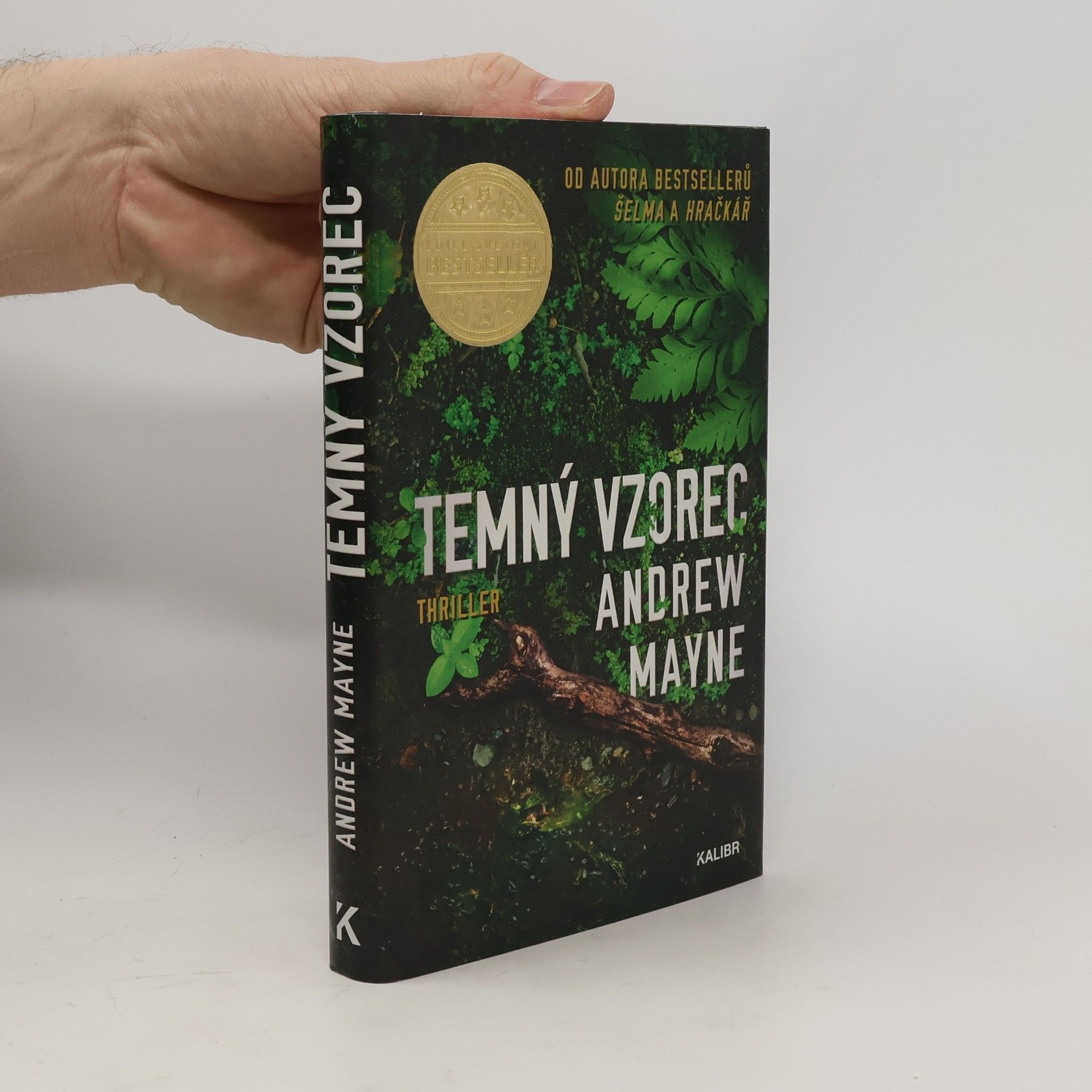 Andrew Mayne Temný vzorec