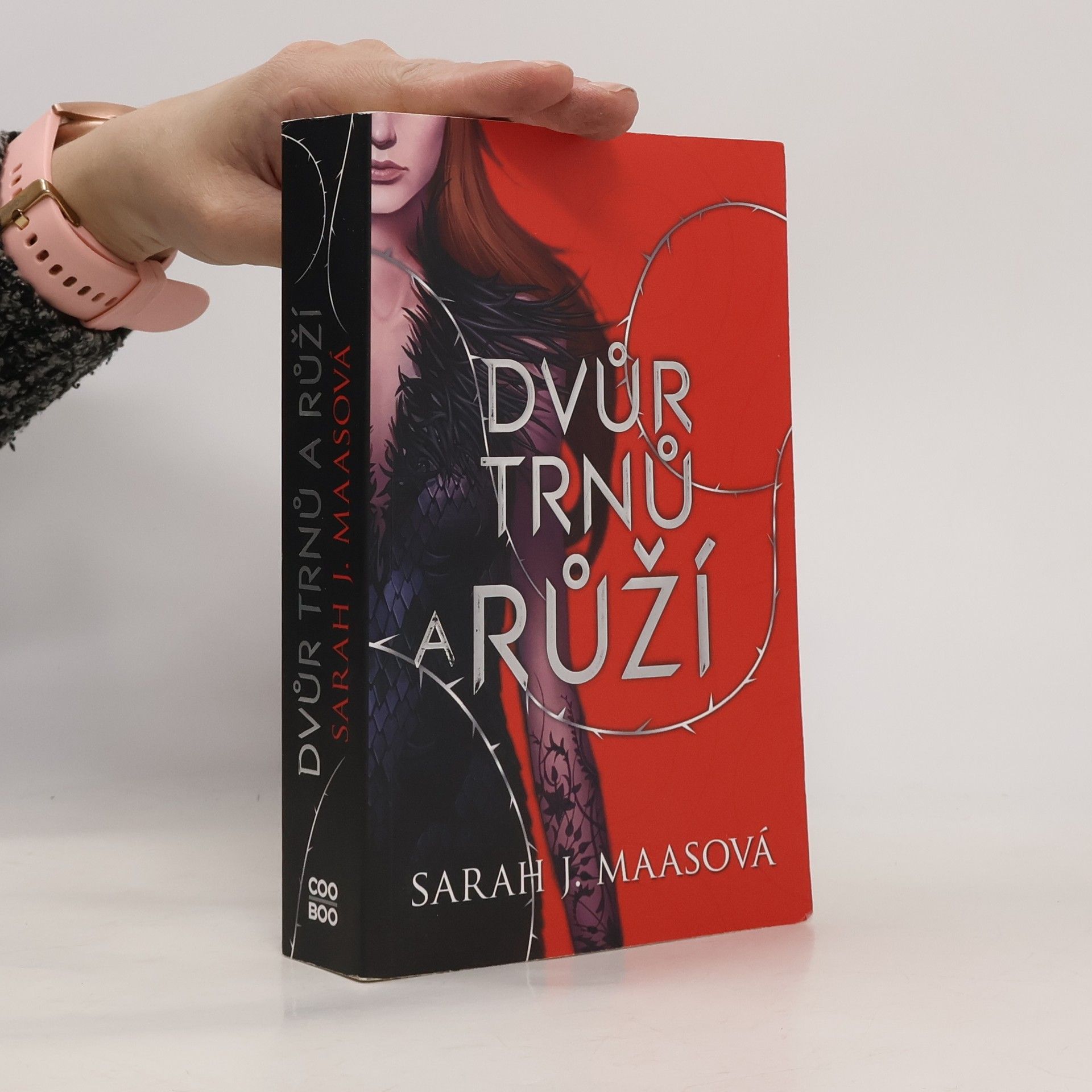 Sarah J. Maas Dvůr trnů a růží