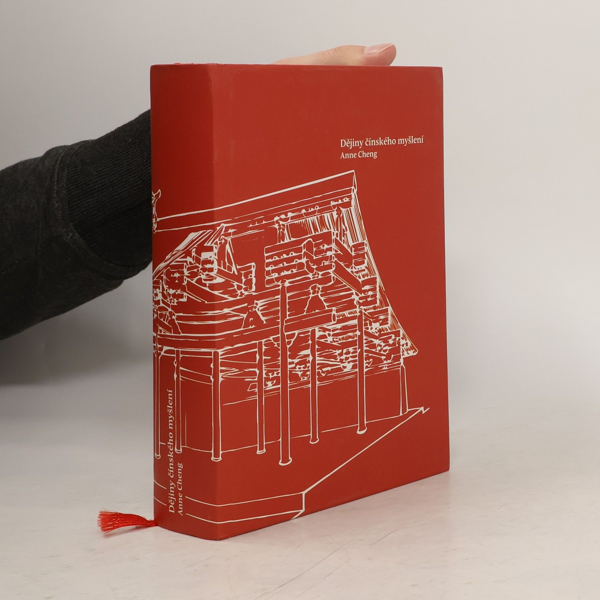 Anne Cheng Dějiny čínského myšlení