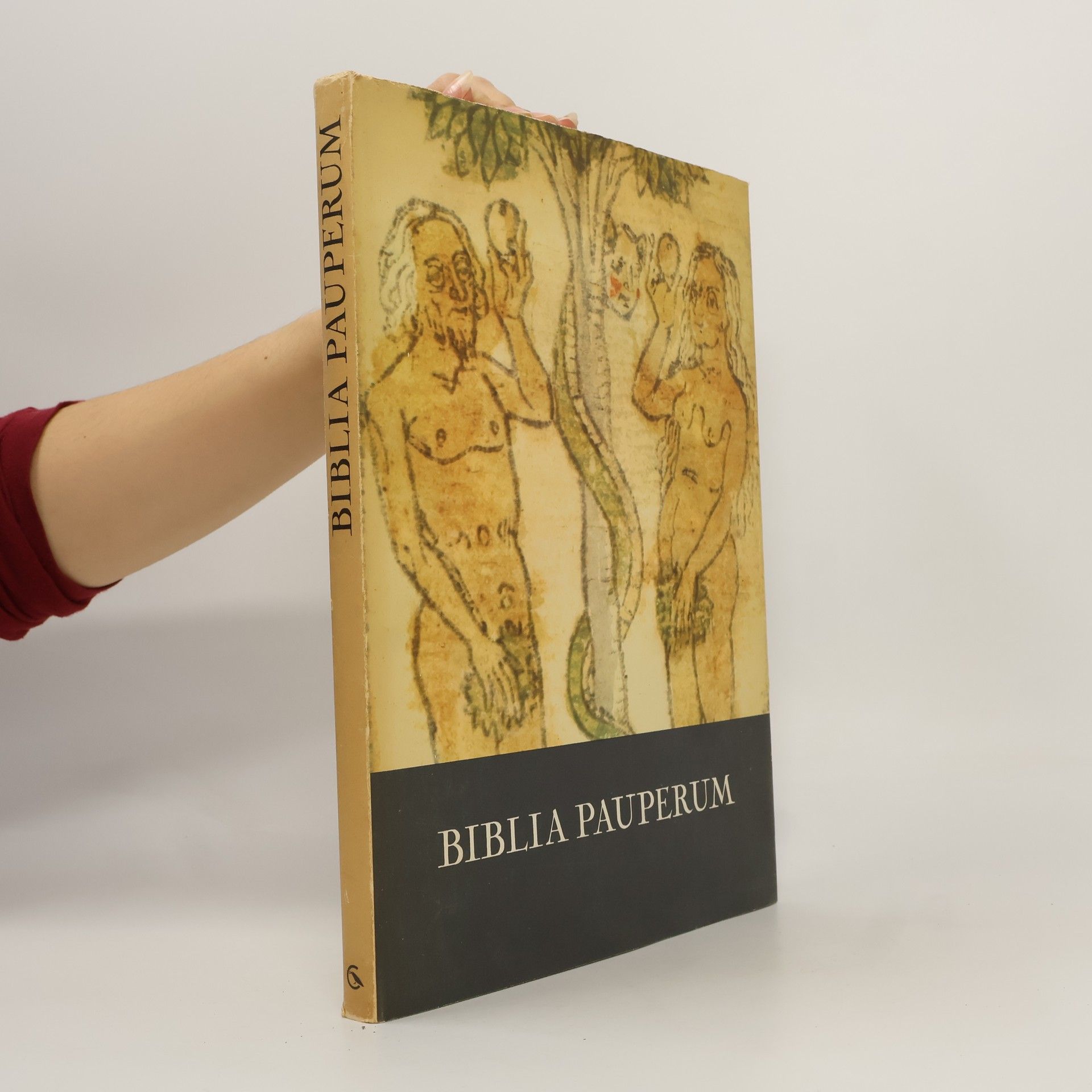 Biblia pauperum