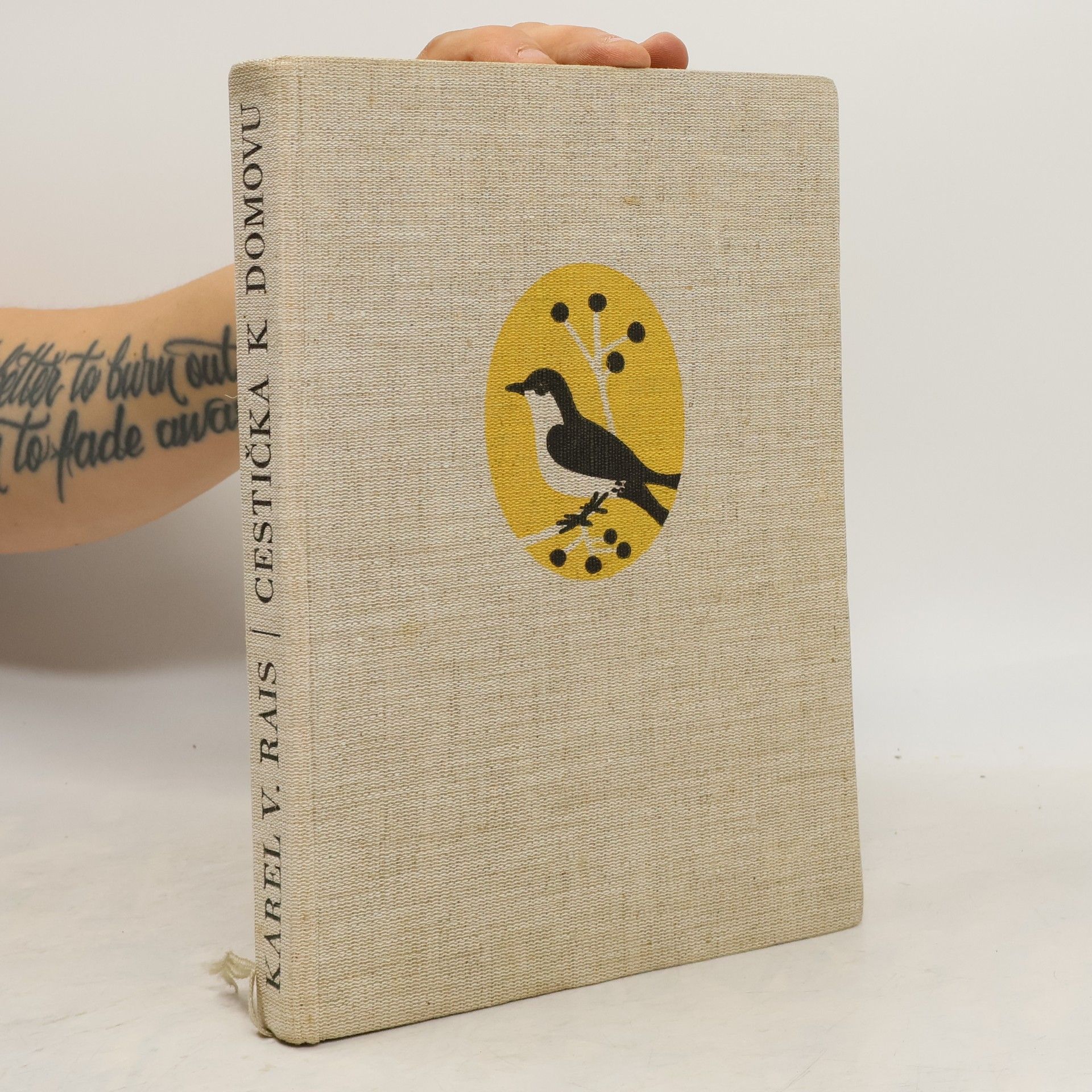 Karel Václav Rais Cestička k domovu