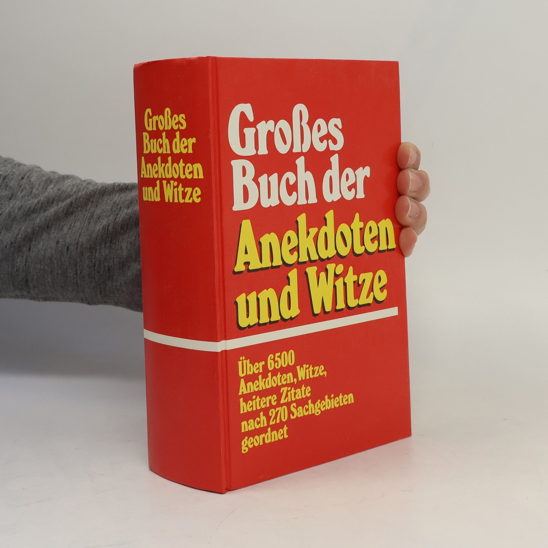 AA.VV. Großes Wörterbuch
