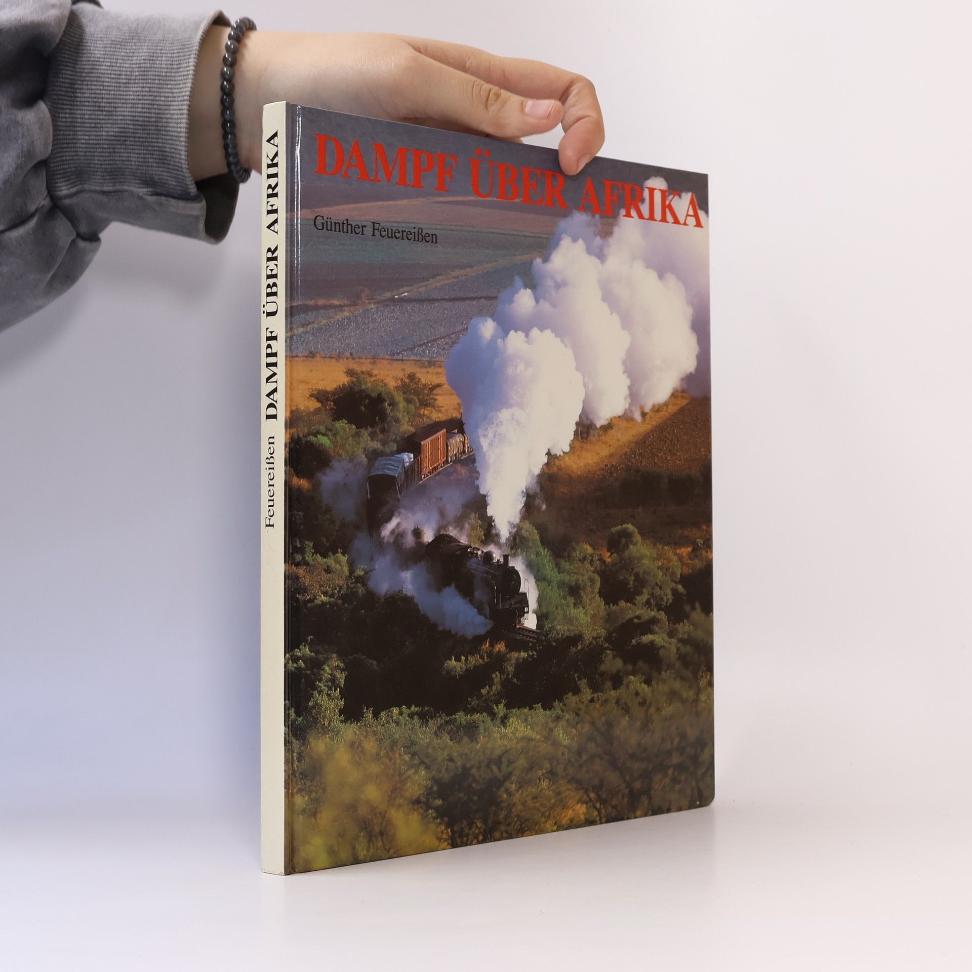 Günther Feuereissen Dampf über Afrika