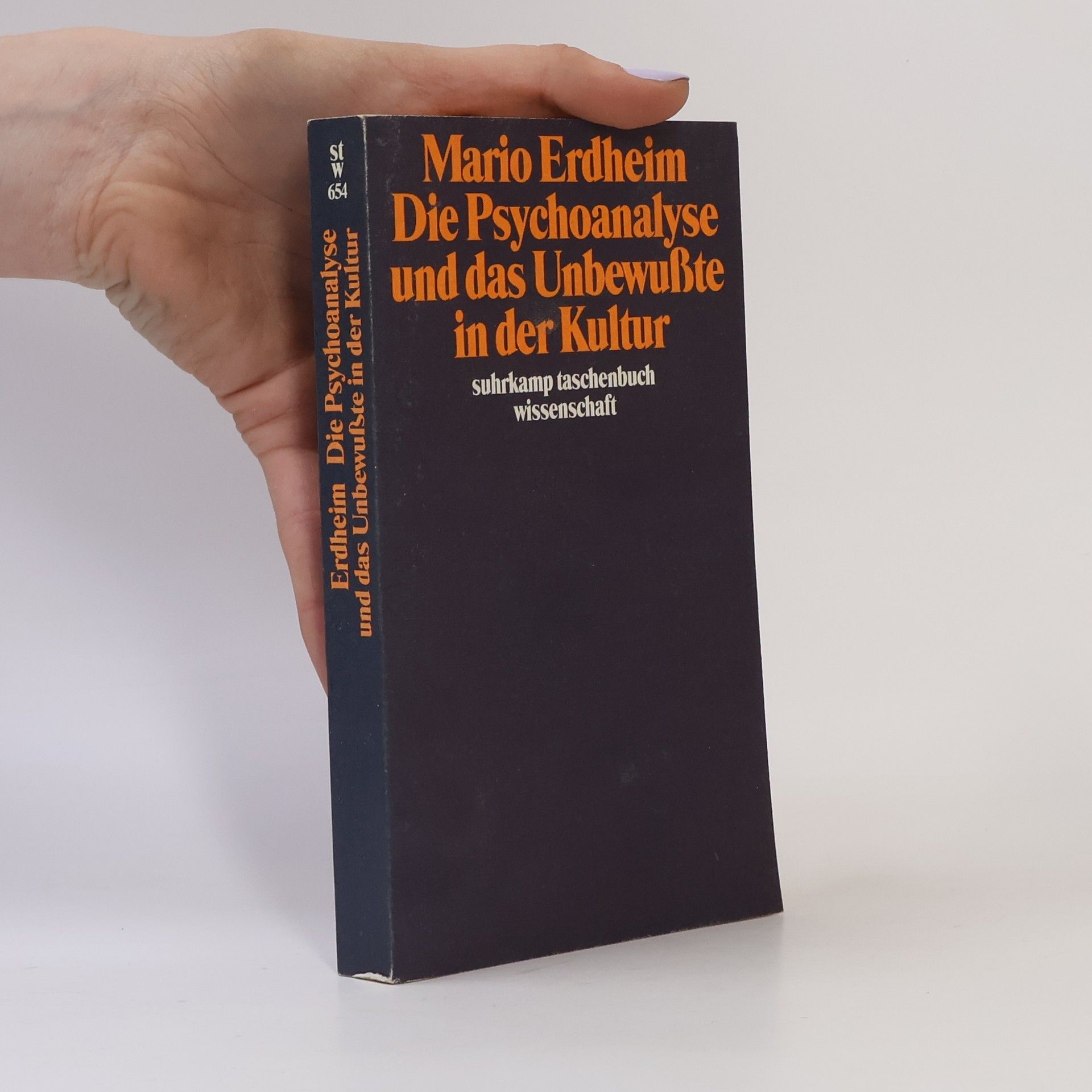Mario Erdheim Psychoanalyse und Unbewusstheit in der Kultur