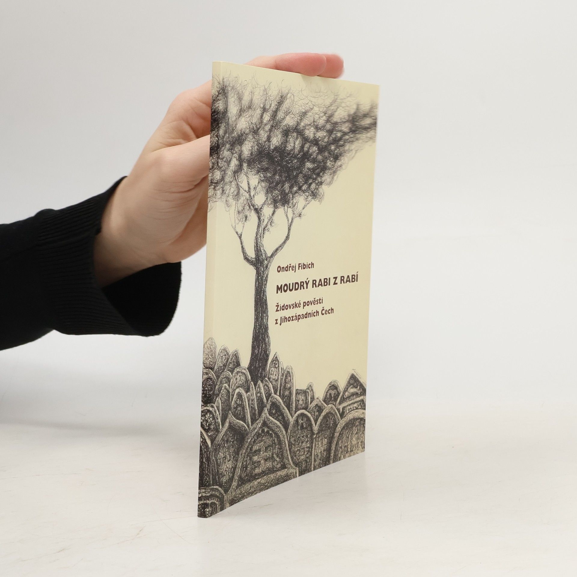 Ondřej Fibich Moudrý rabi z Rabí. Židovské pověsti z Jihozápadních Čech
