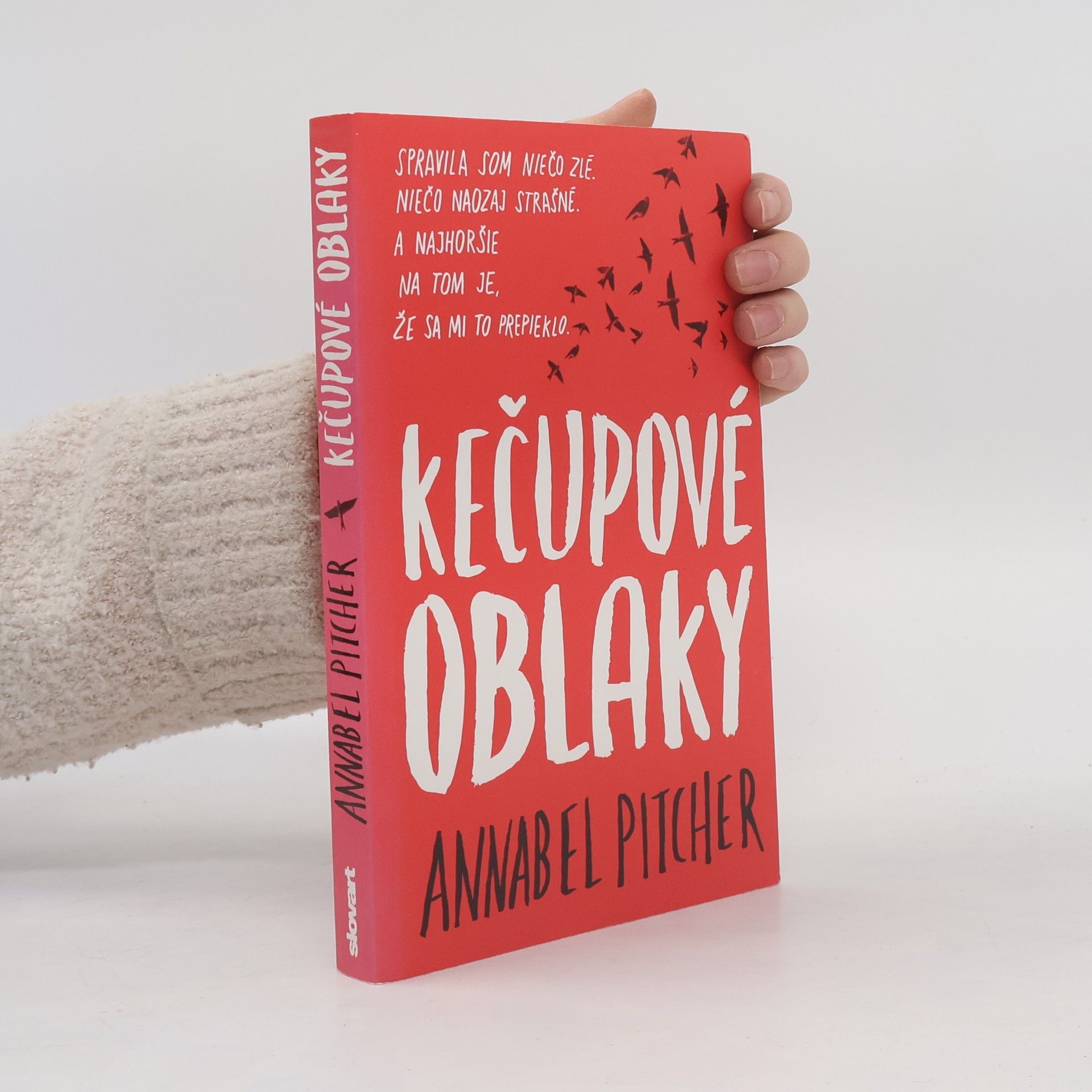Annabel Pitcher Kečupové oblaky
