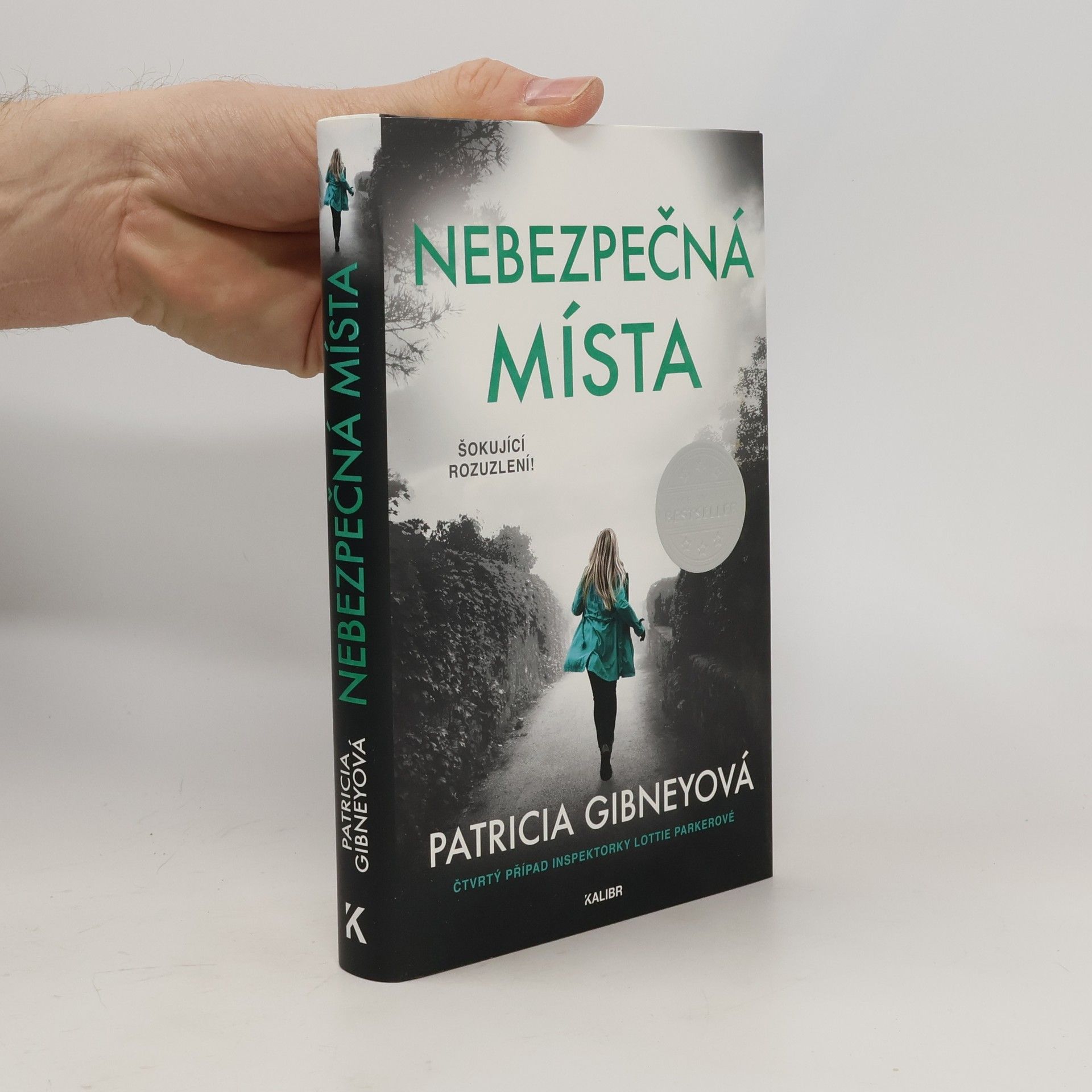 Patricia Gibney Nebezpečná místa