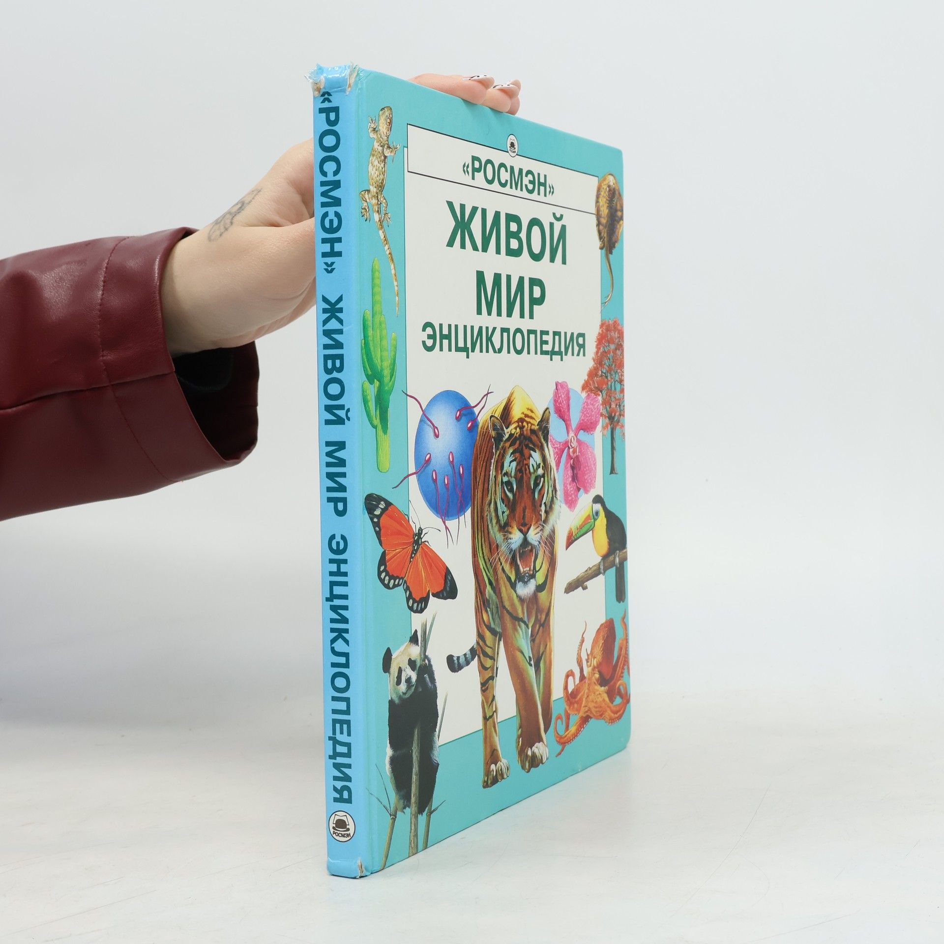 Autorenkollektiv Живой мир энциклопедия