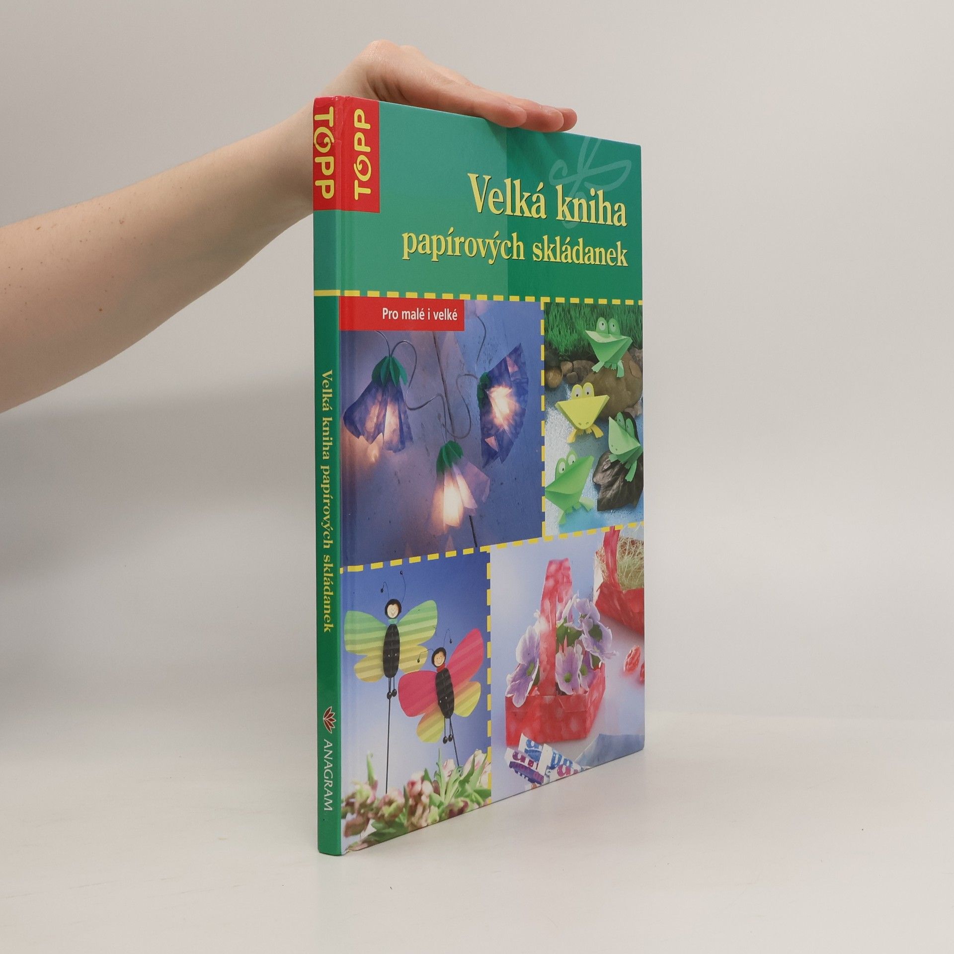 Armin Täubner Velká kniha papírových skládanek. Pro malé i velké