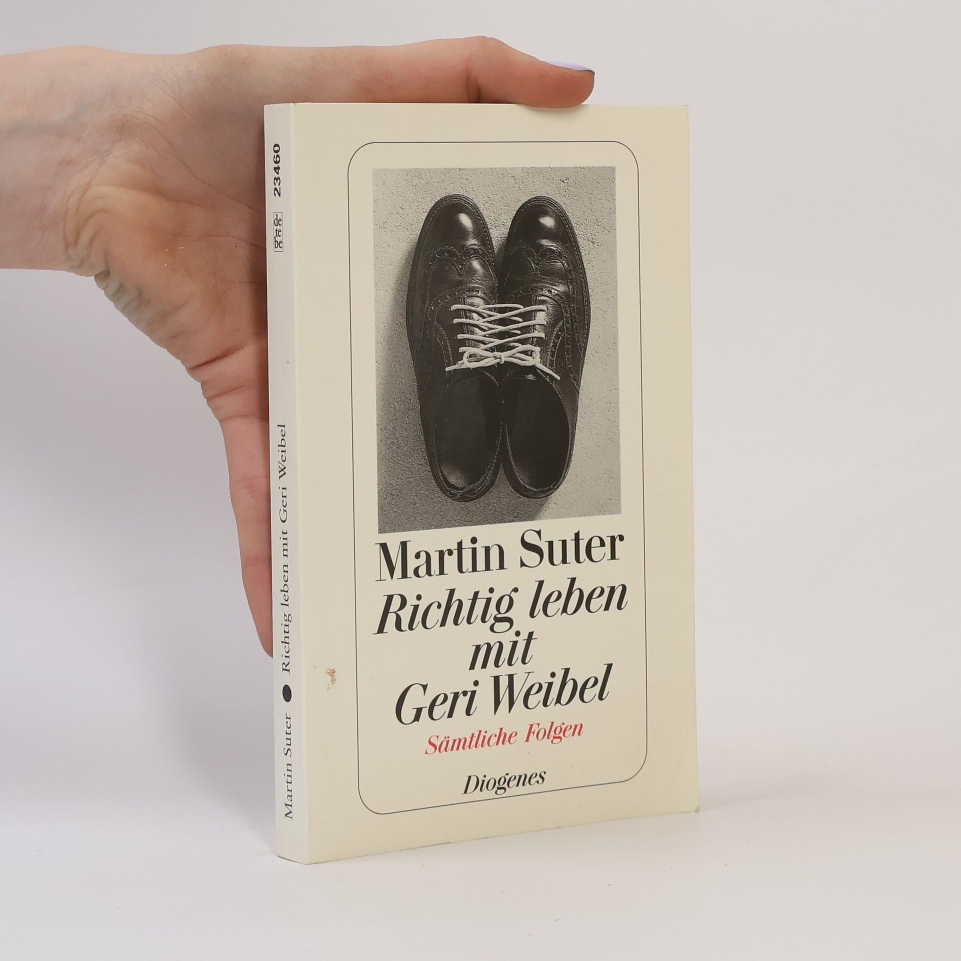 Martin Suter Richtig leben mit Geri Weibel