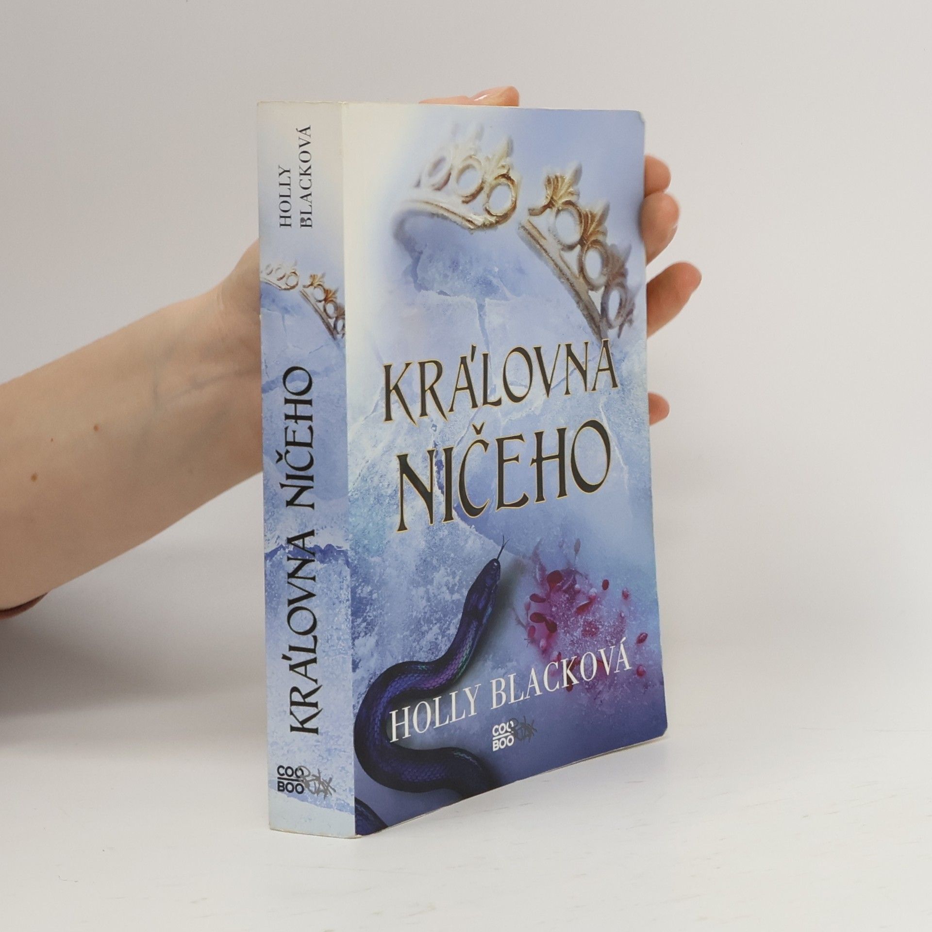 Holly Black Královna ničeho