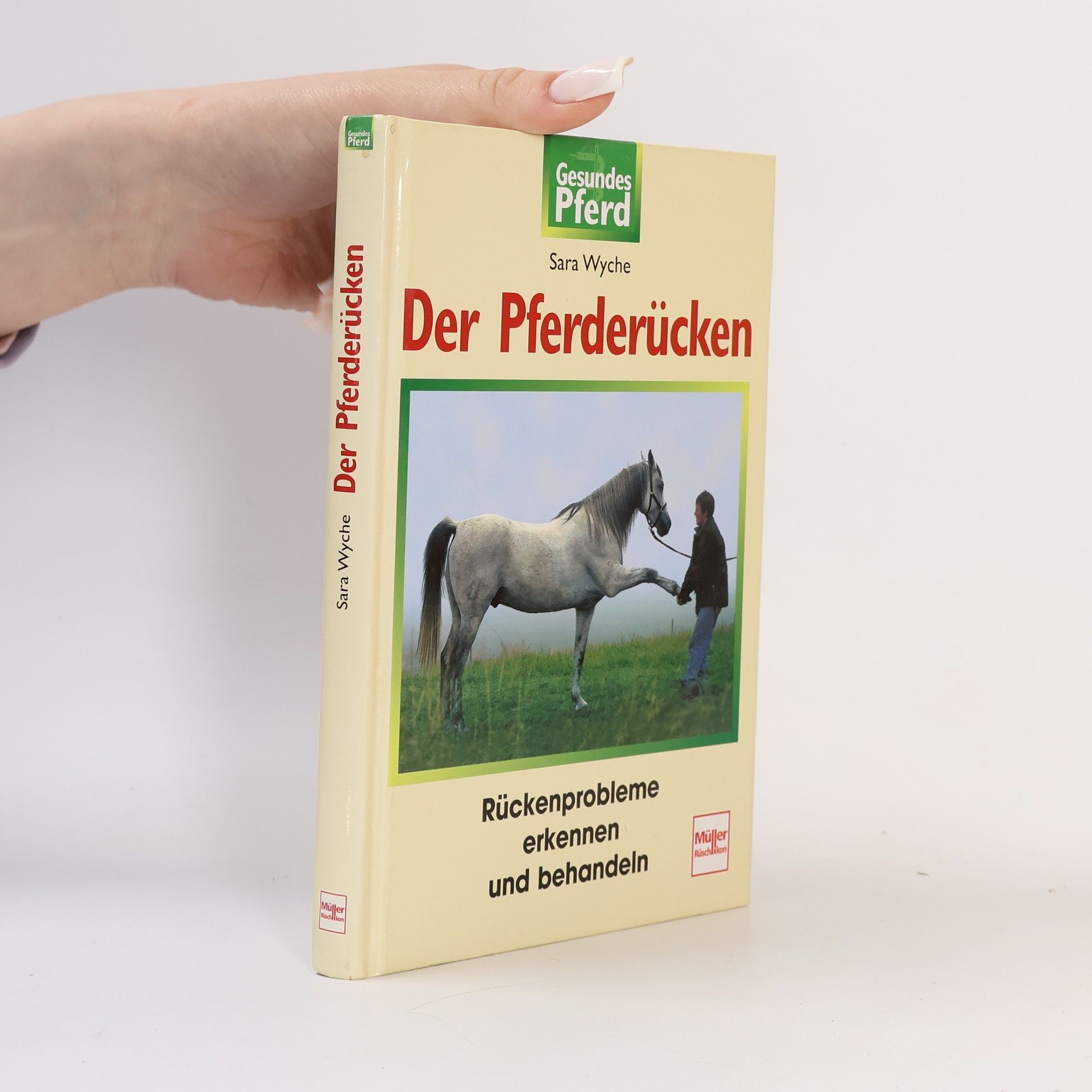 Sara Wyche Der Pferderücken