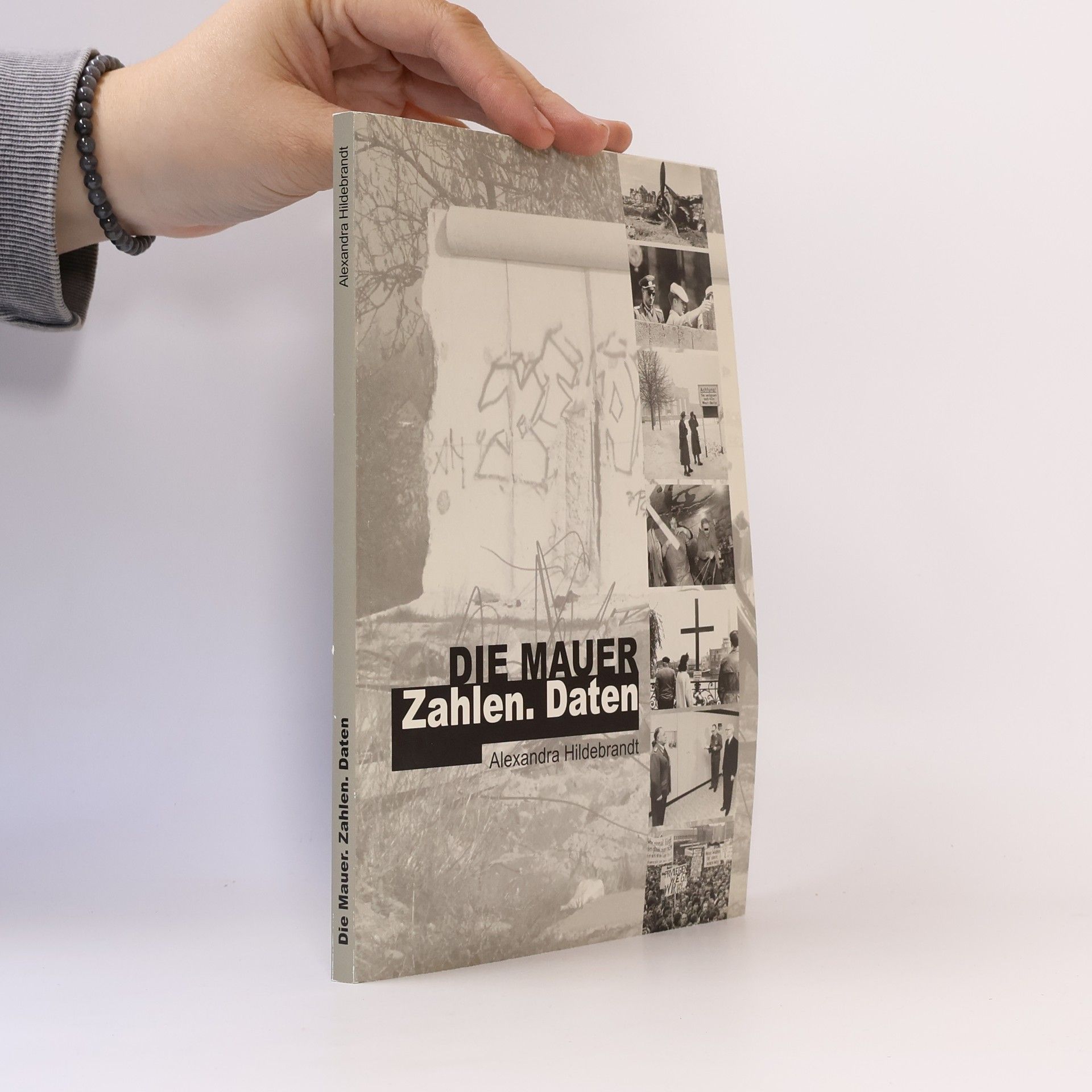 Alexandra Hildebrandt Die Mauer