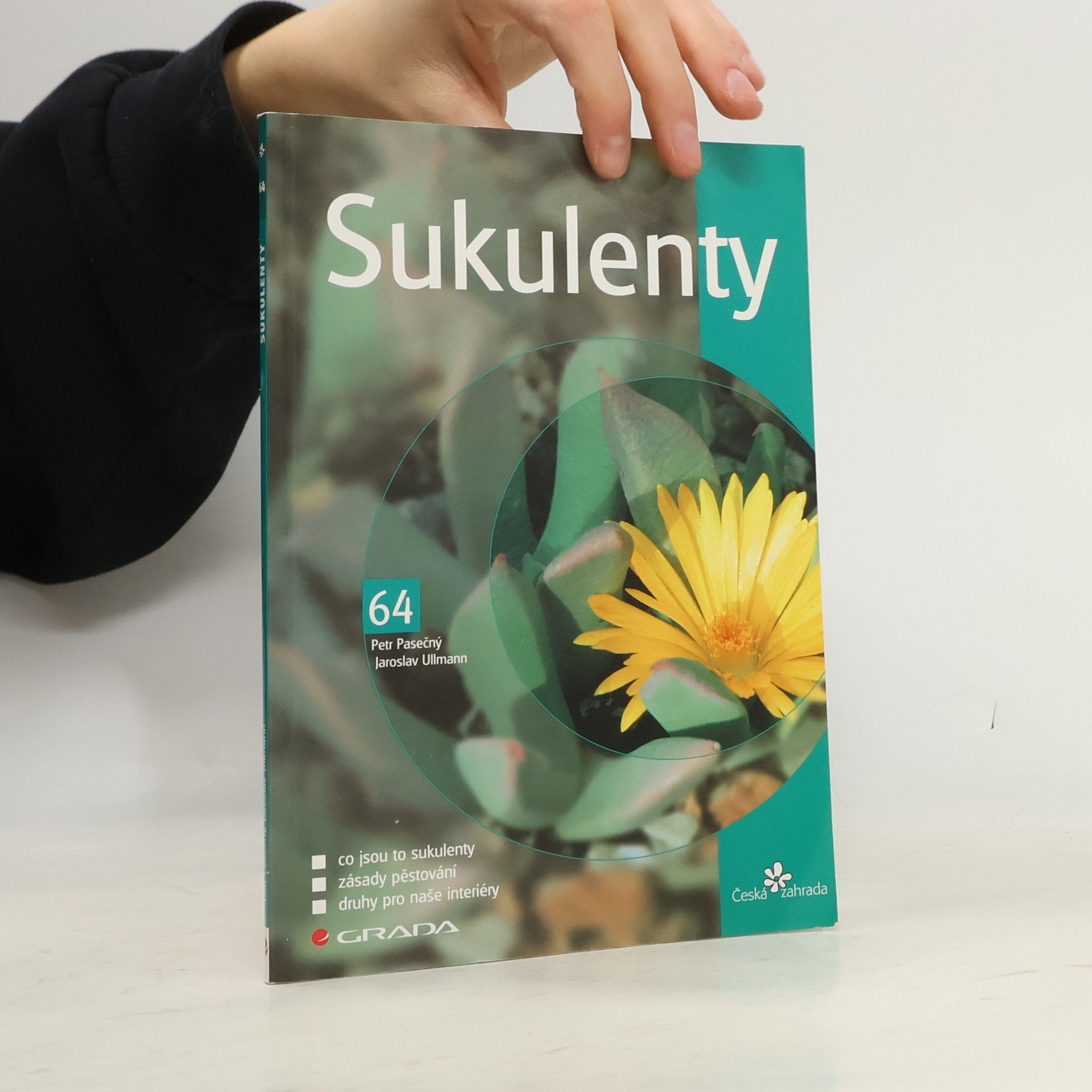 Pasečný Petr Sukulenty